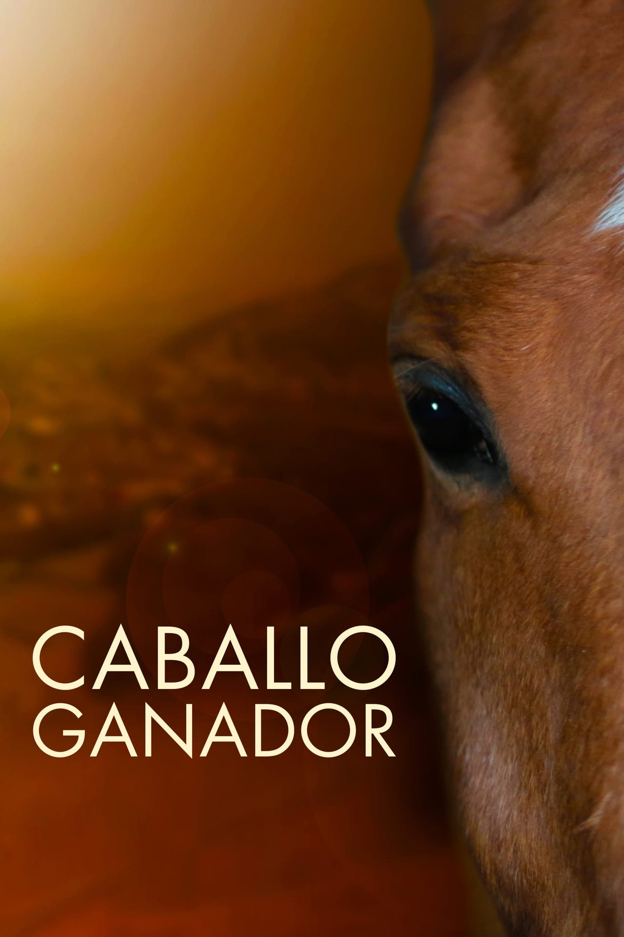 Películas Caballo ganador