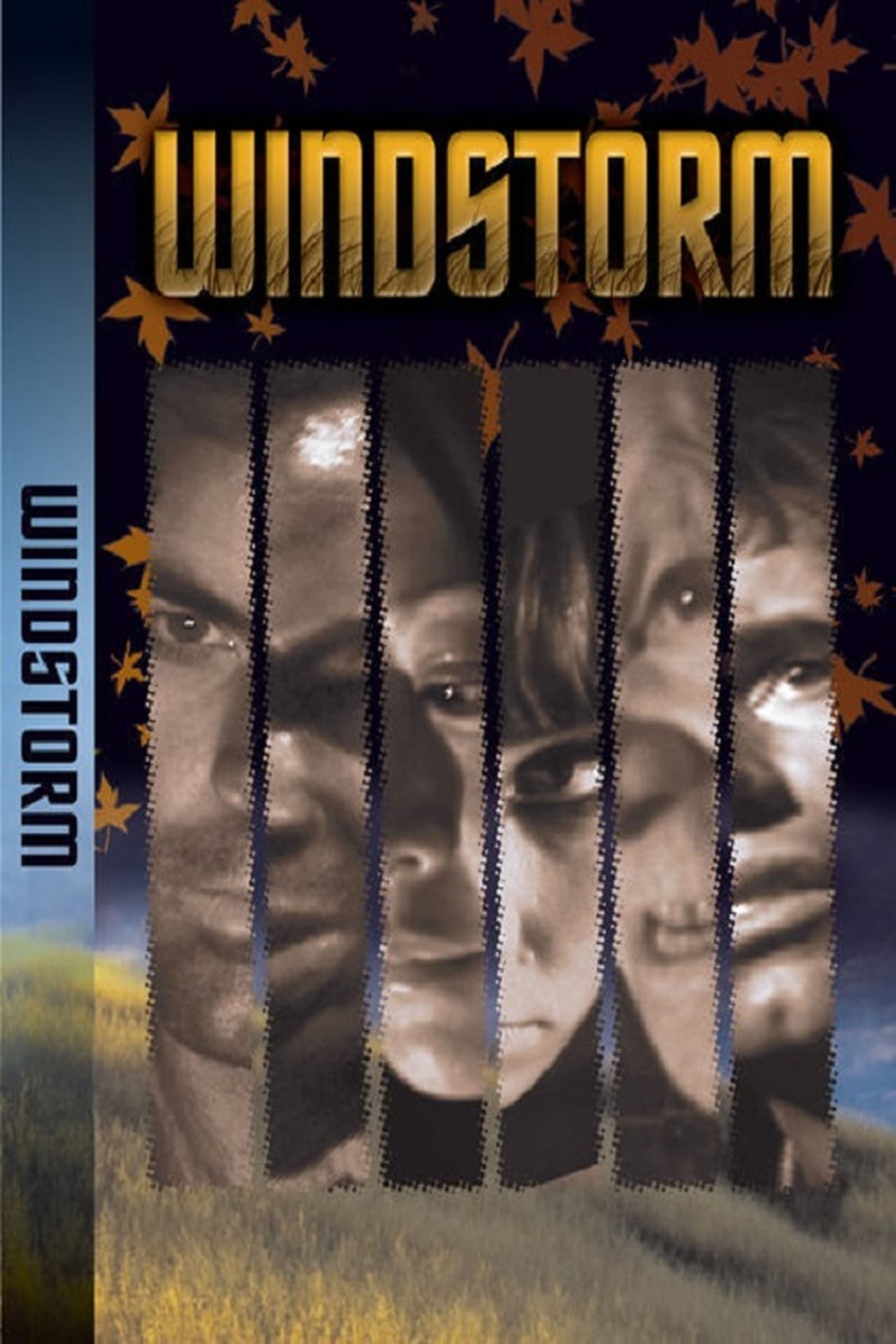 Movies Windstorm