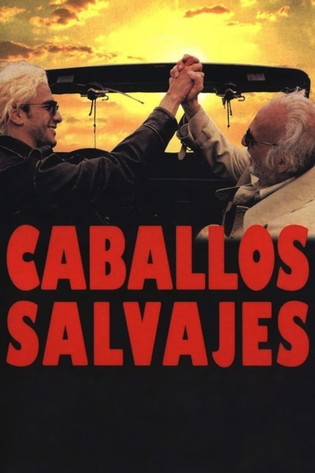 Película Caballos salvajes