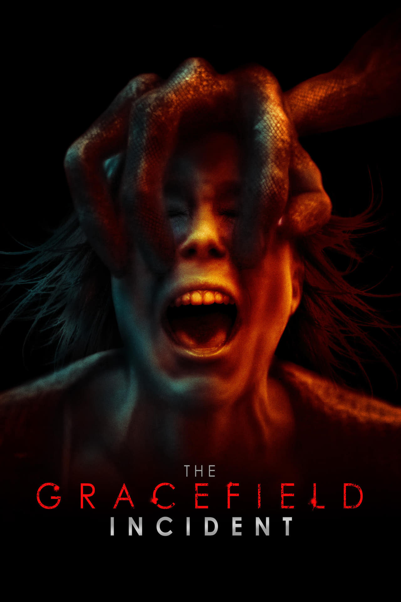 Películas The Gracefield Incident