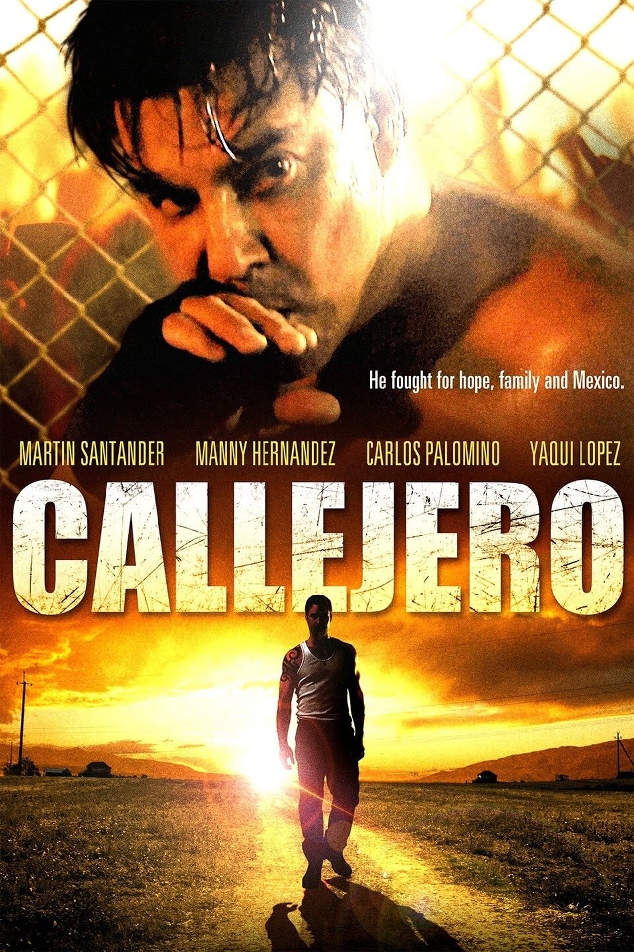 Película Callejero