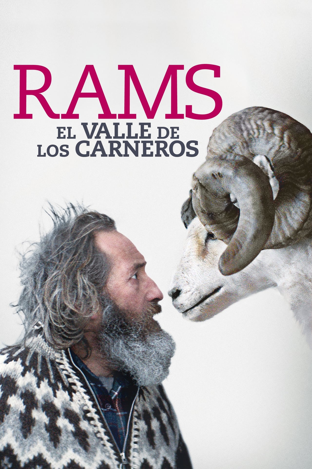 Movie Rams (El valle de los carneros)