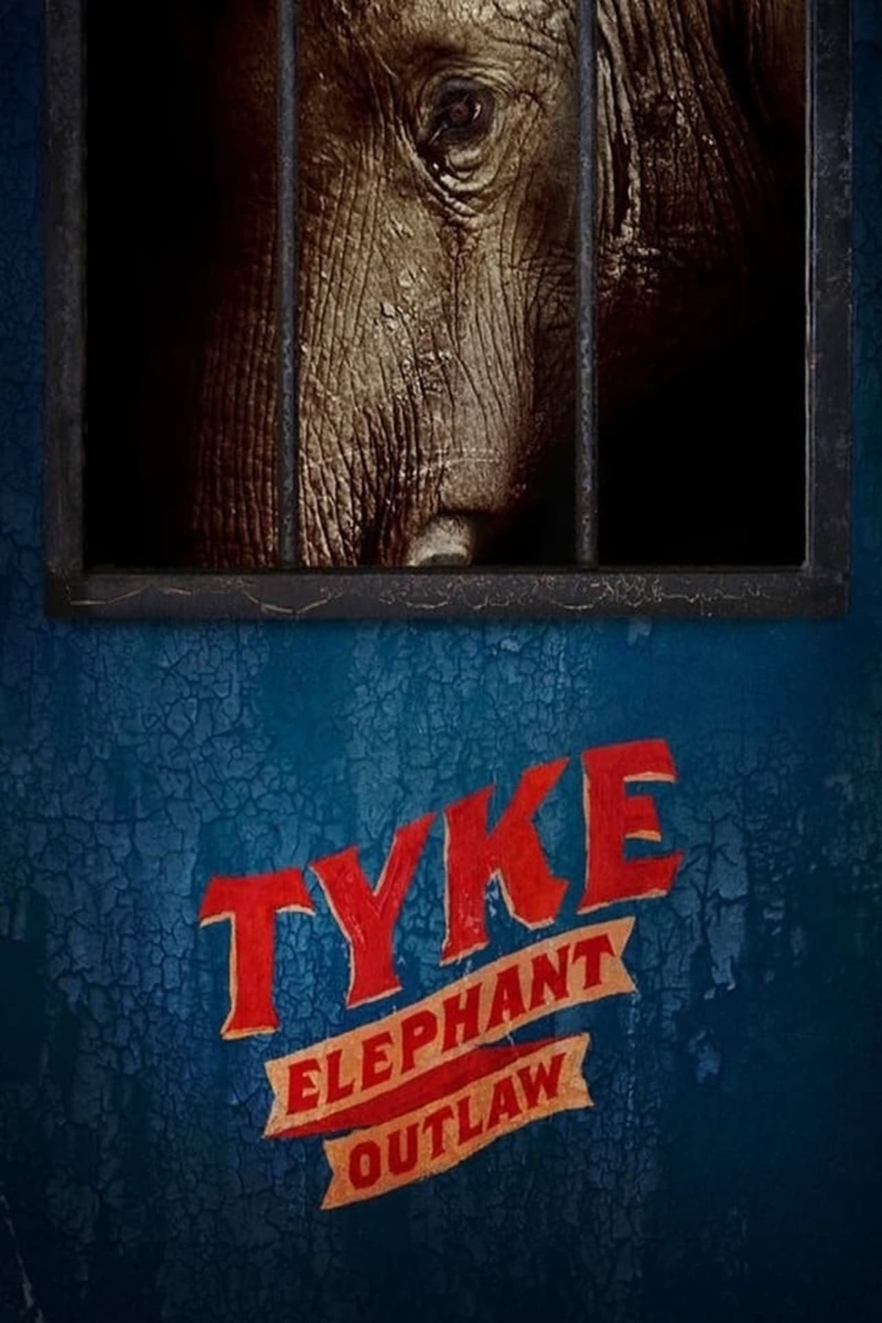 Movies Tyke Elephant Outlaw