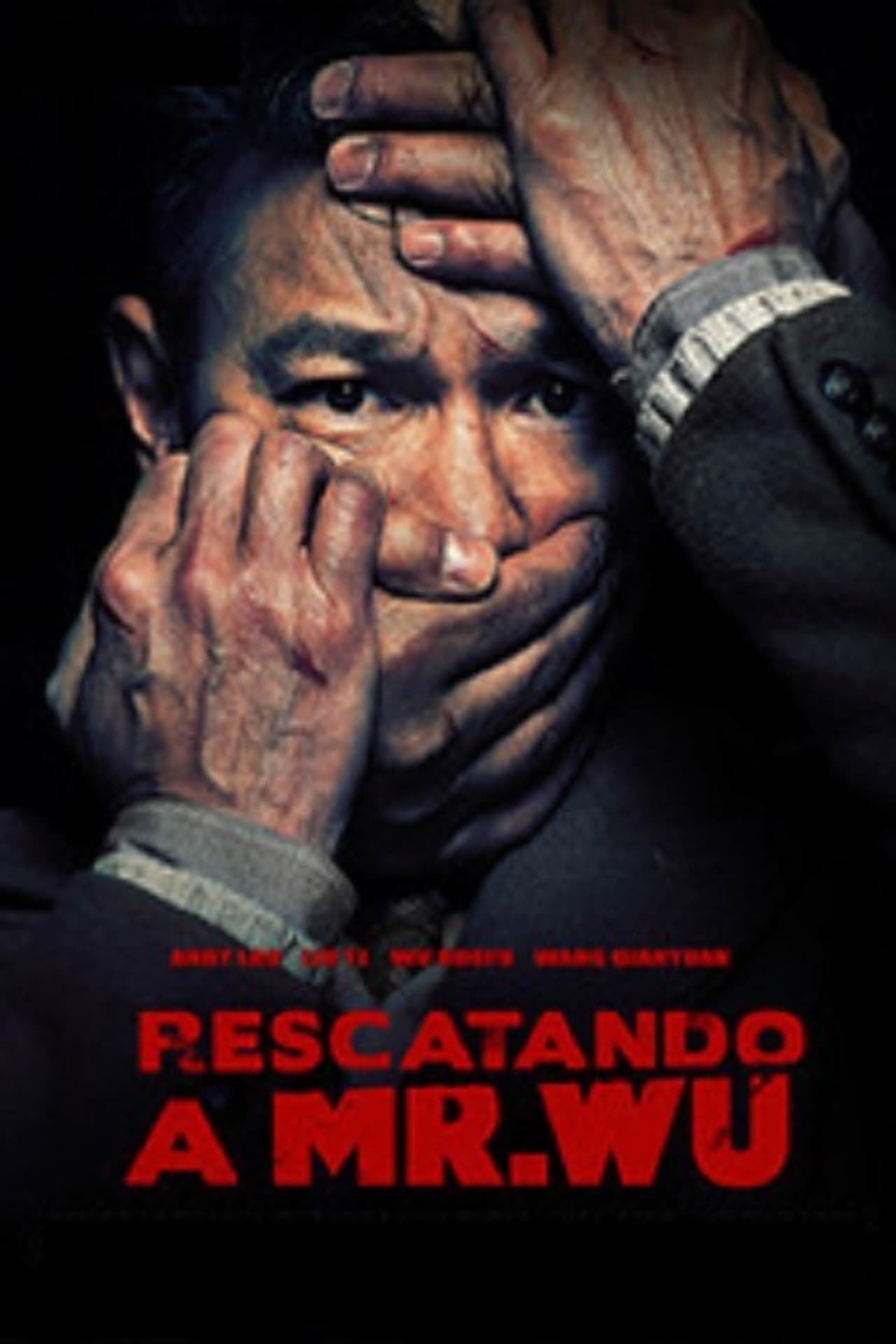 Movies Rescatando a Mr. Wu