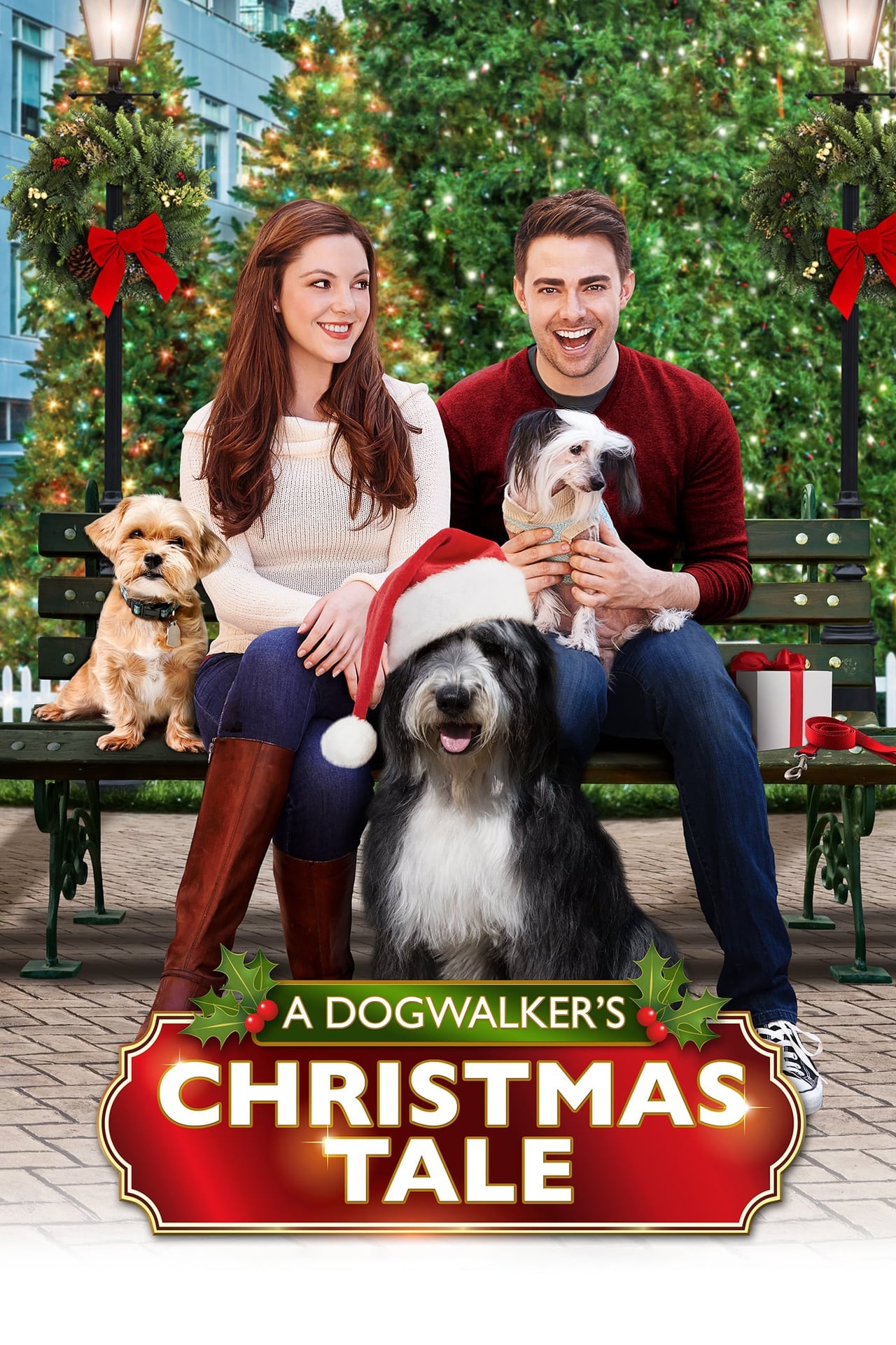 Películas A Dogwalker's Christmas Tale