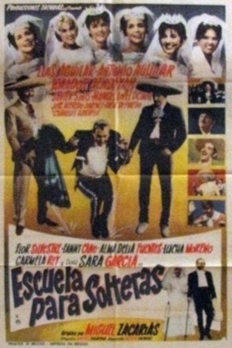 Movie Escuela para solteras