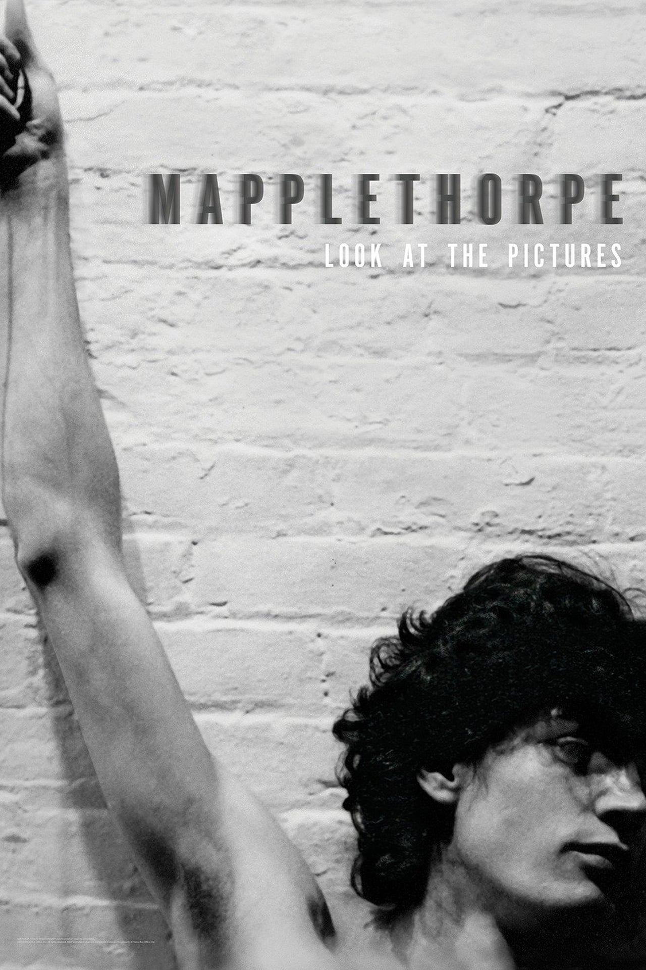 Movie Mapplethorpe: Look at the Pictures