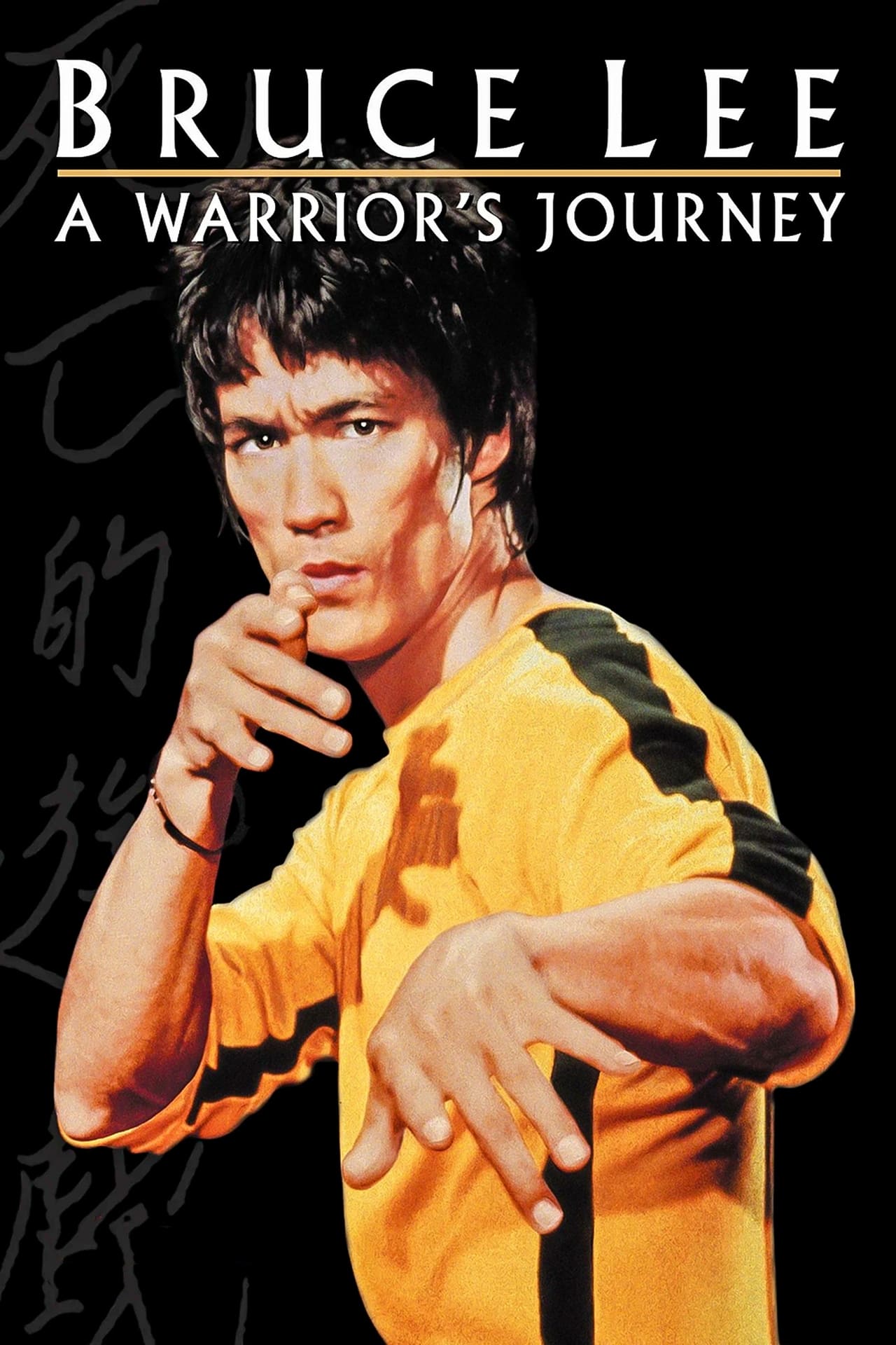 Movie Bruce Lee: A Warrior's Journey