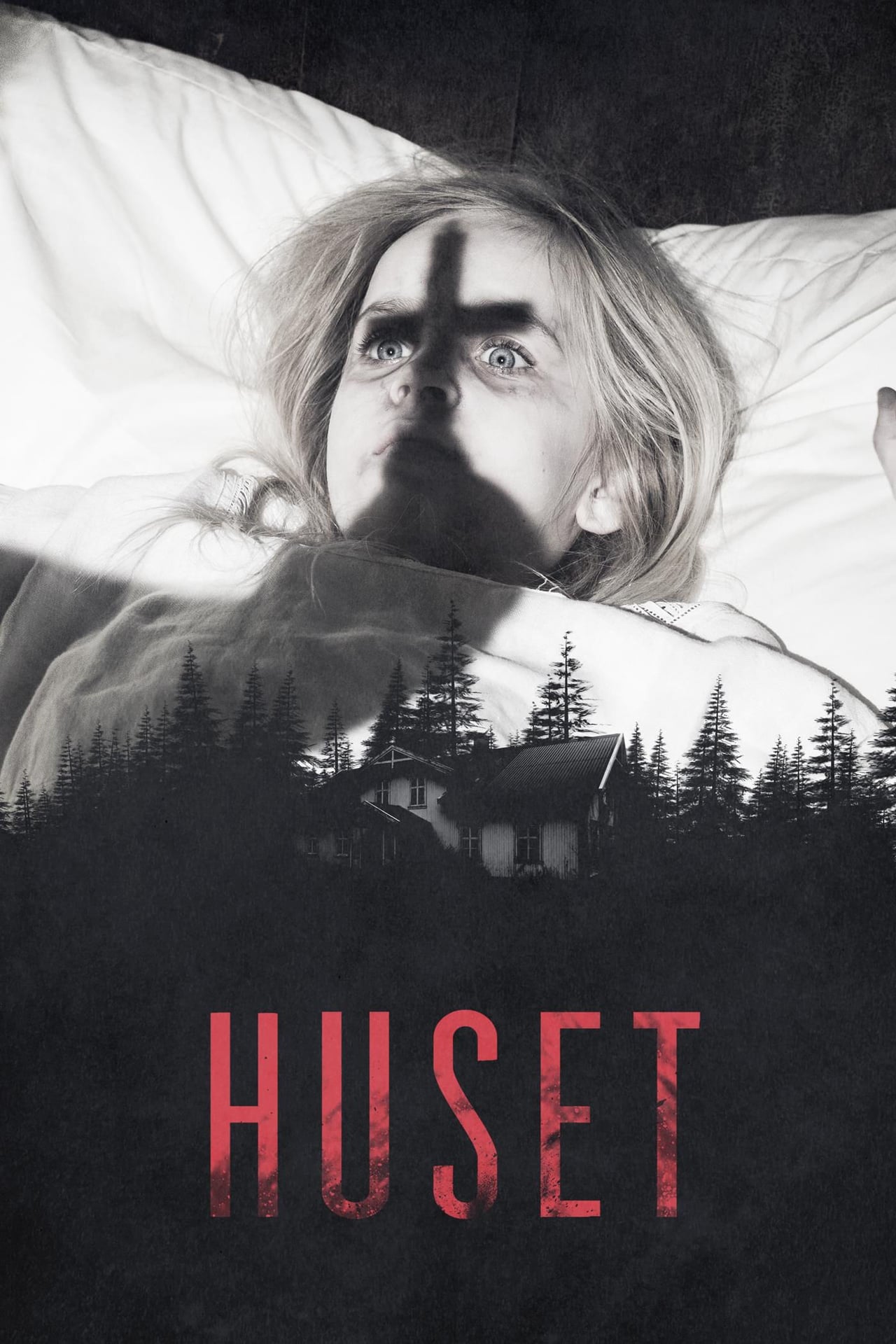 Movie The House