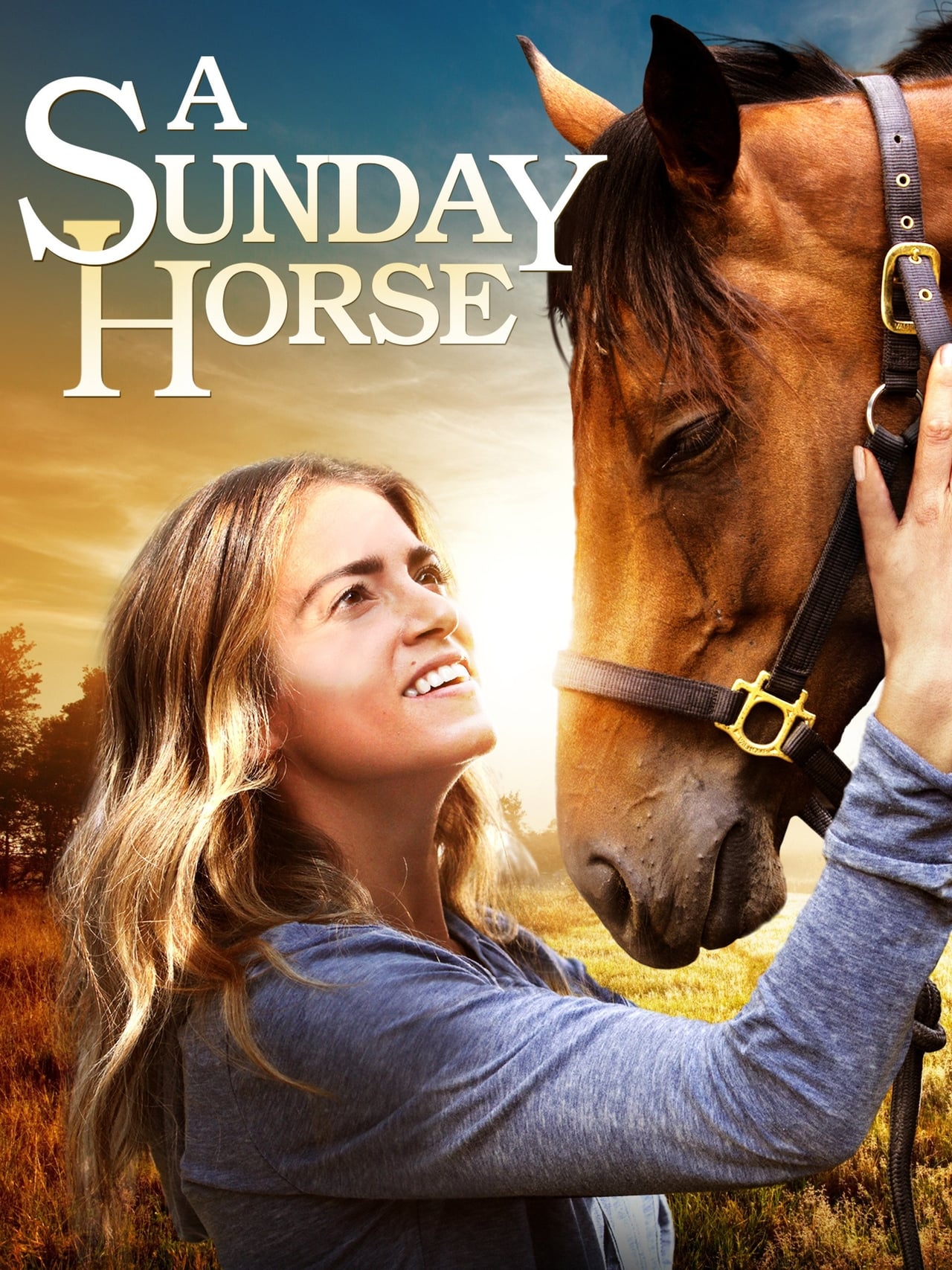 Películas A Sunday Horse