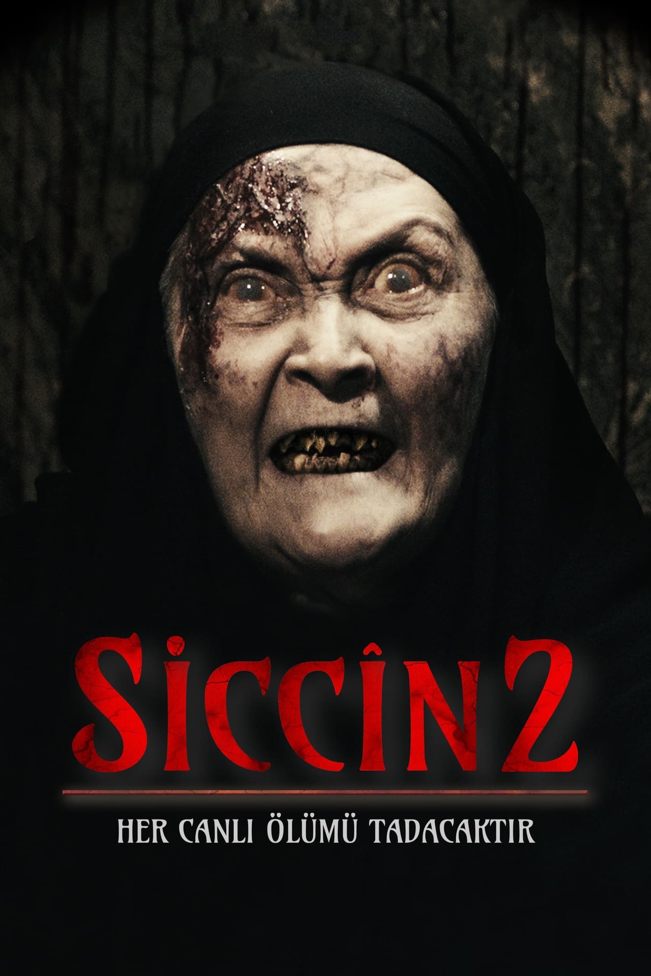 Películas Siccîn 2