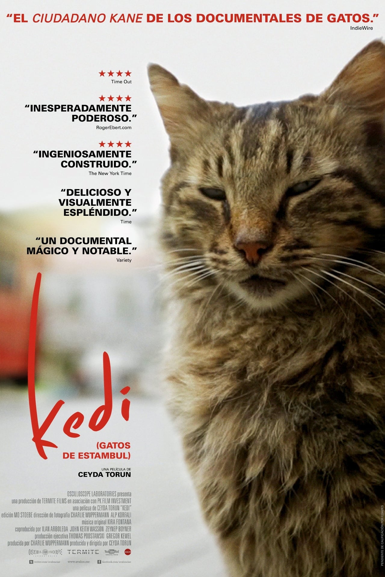 Películas Kedi (Gatos de Estambul)