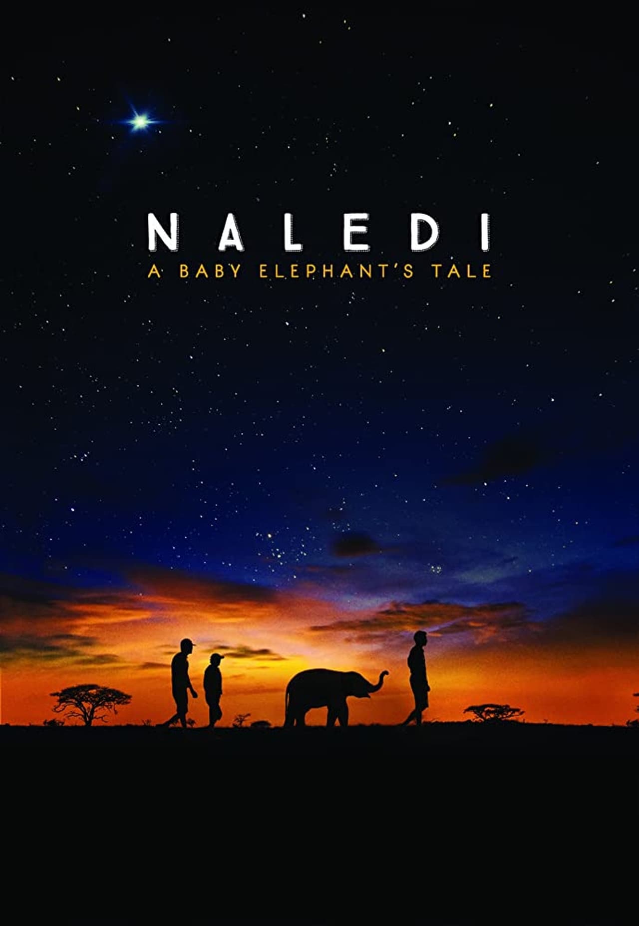 Películas Naledi: A Baby Elephant's Tale