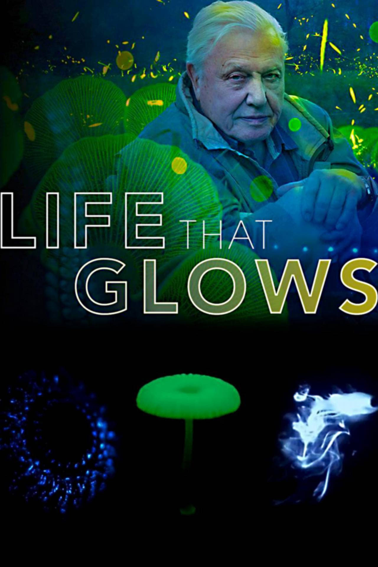 Película Attenborough's Life That Glows