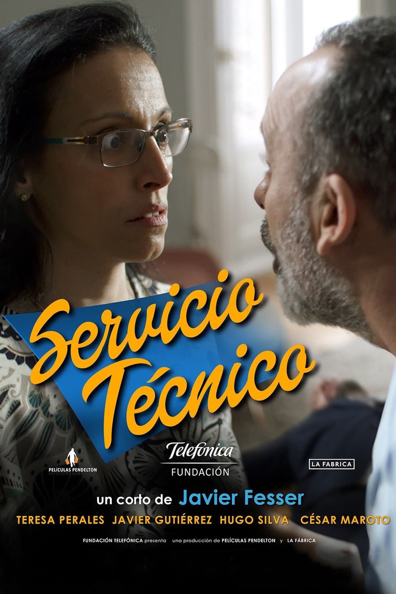 Película Servicio técnico