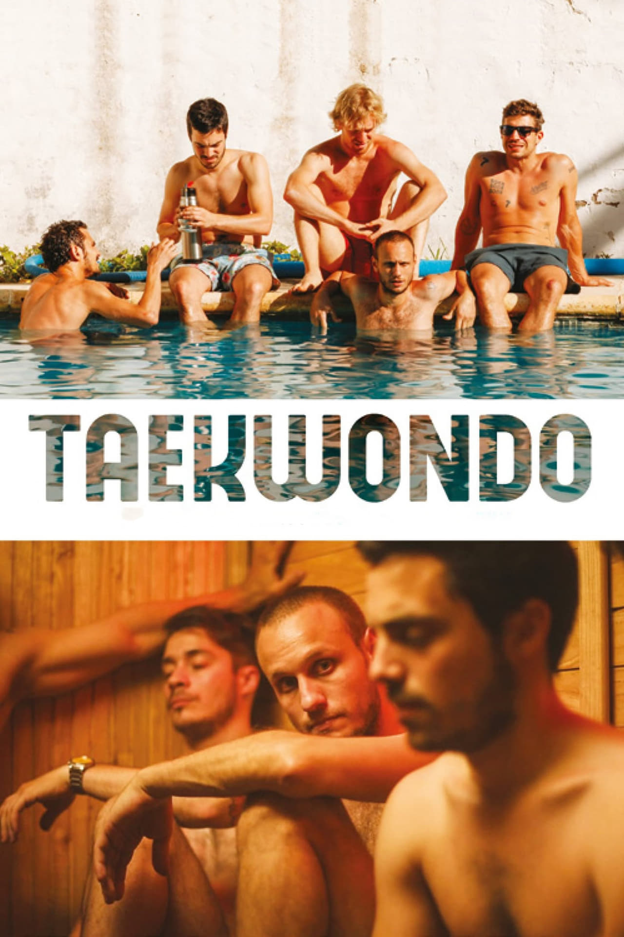 Películas Taekwondo