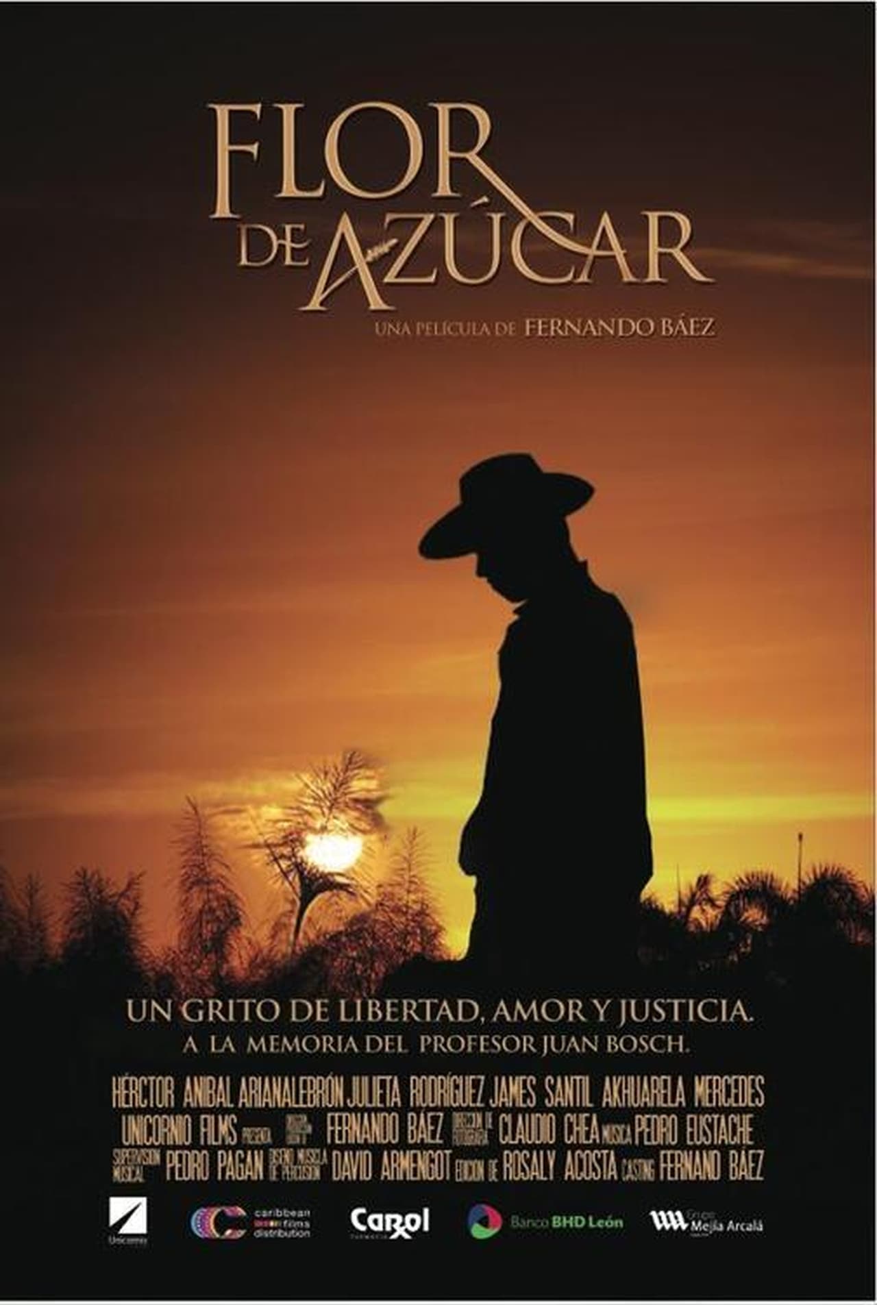 Movie Flor de Azúcar