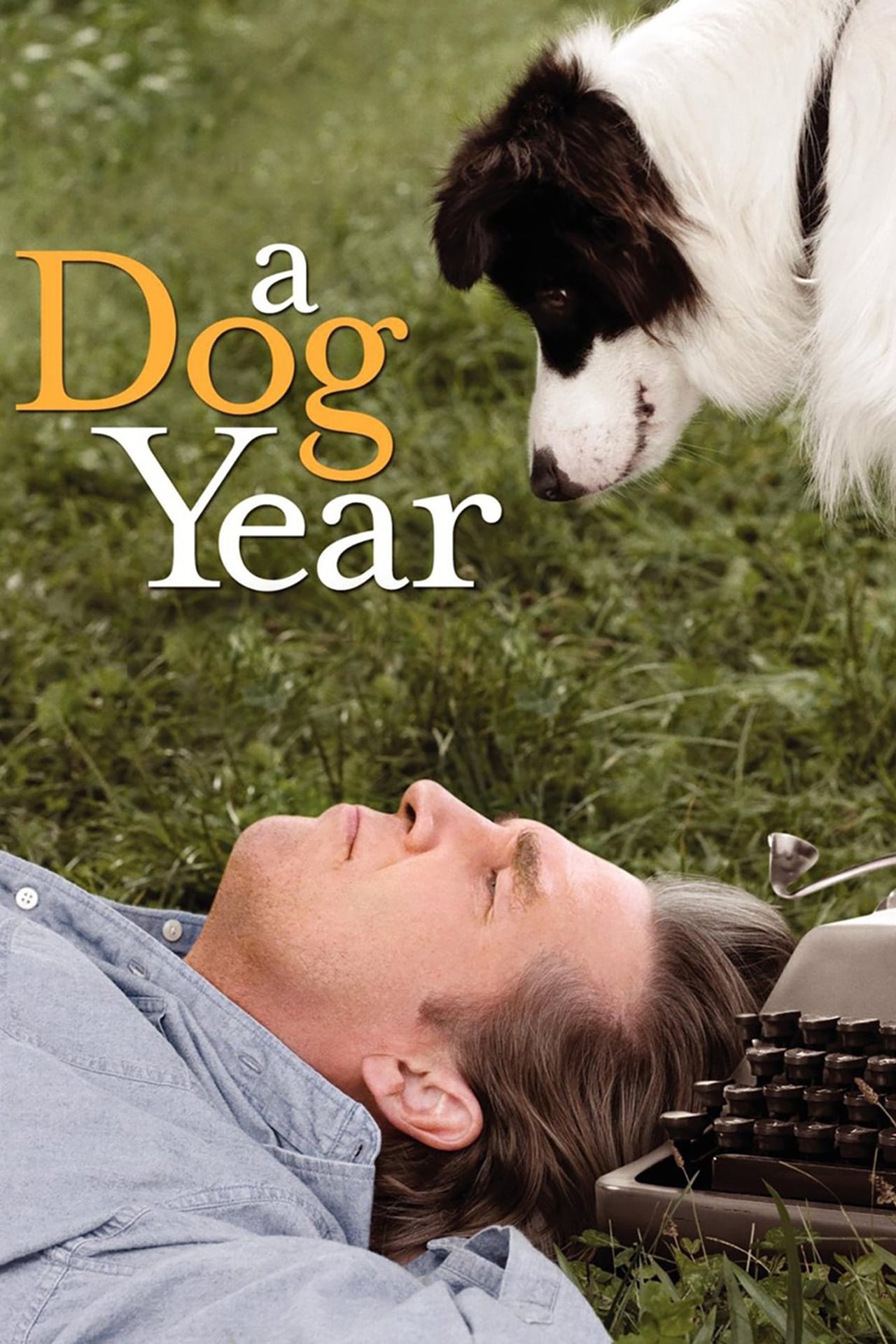 Película A Dog Year