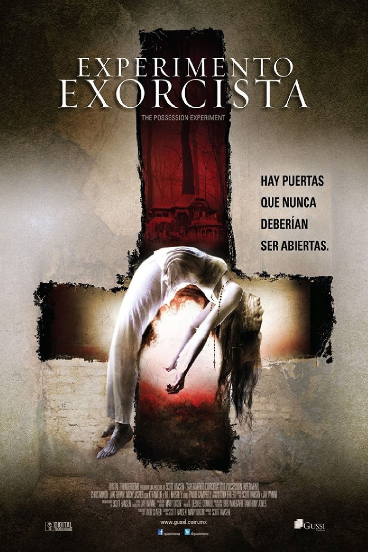 Películas The Possession Experiment