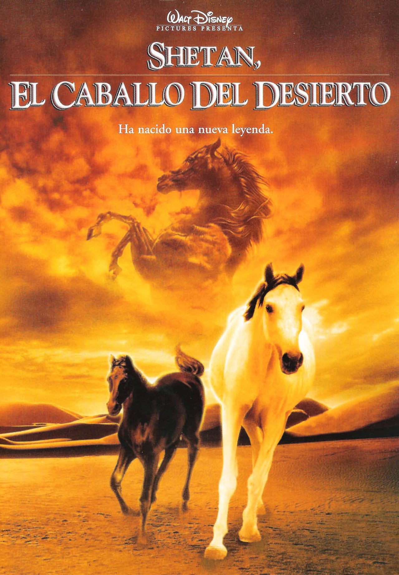 Movies Shetan, el caballo del desierto