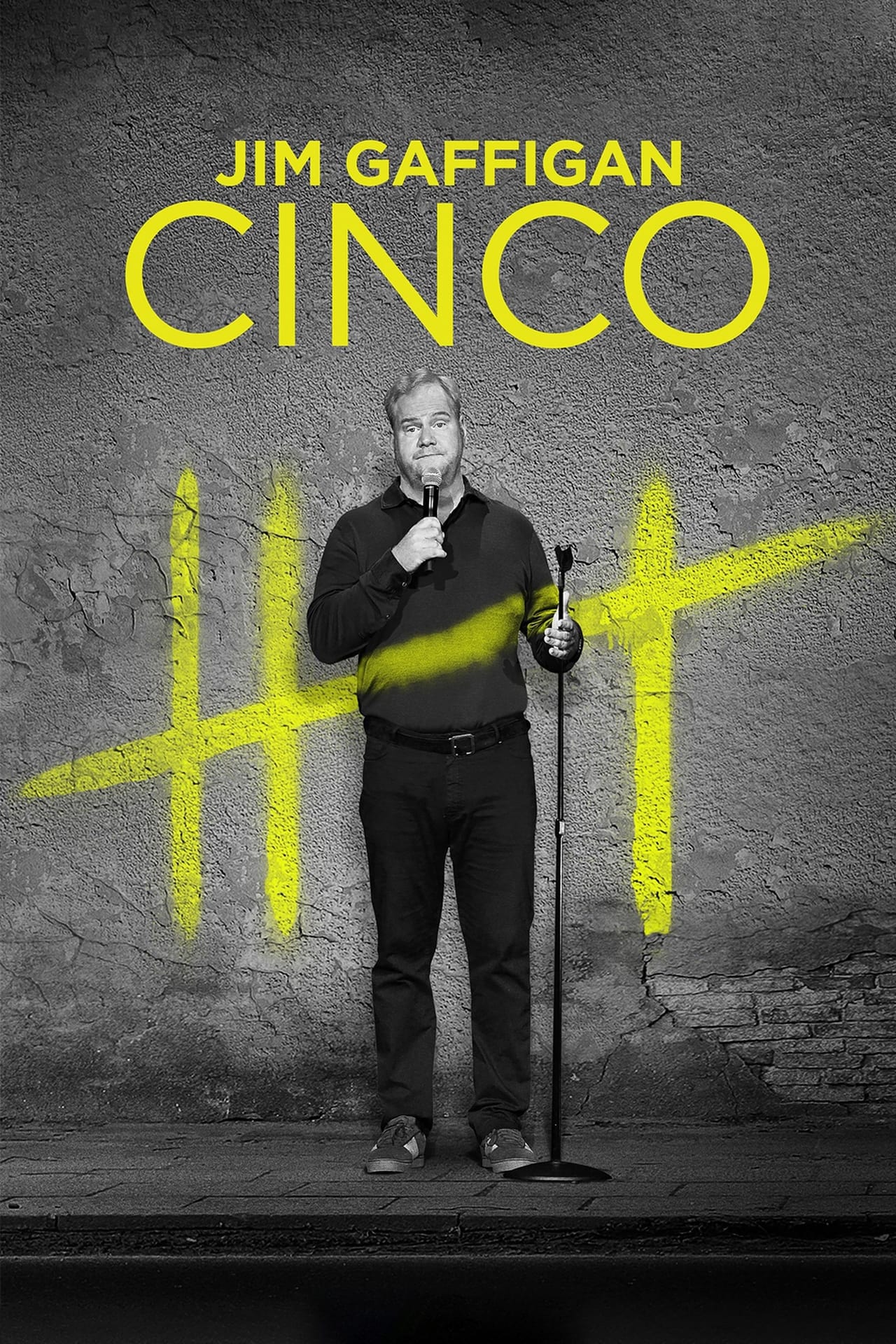 Movies Jim Gaffigan: Cinco