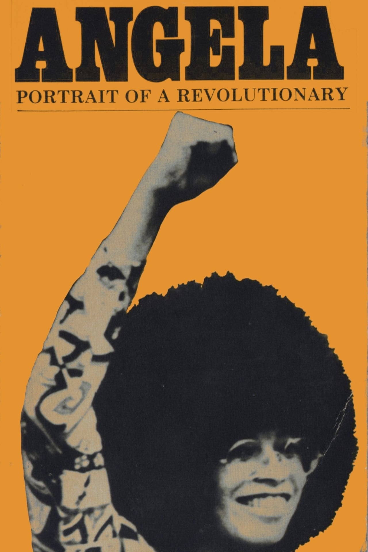 Película Angela Davis: Portrait of a Revolutionary