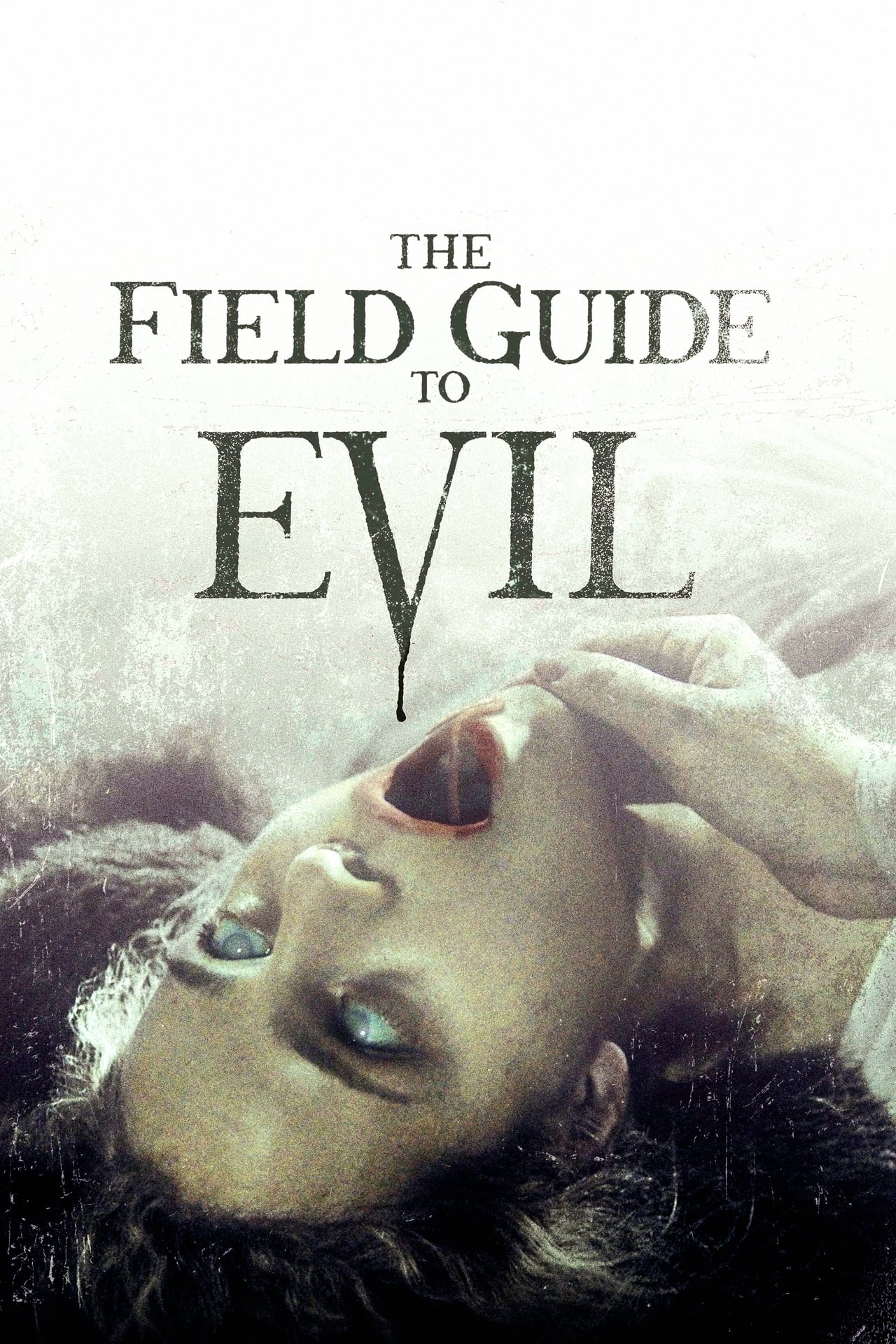 Movie The Field Guide to Evil