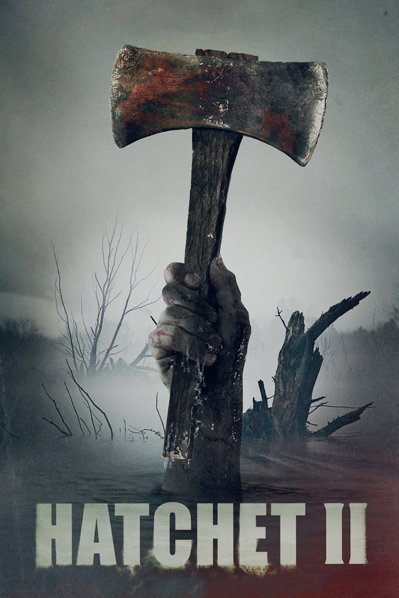 Movies Hatchet II