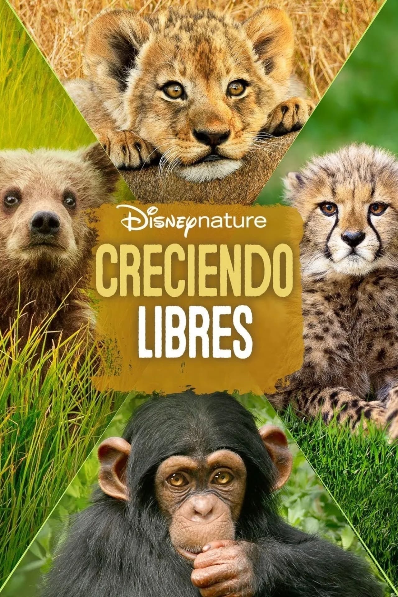 Movie Crecer Salvajes