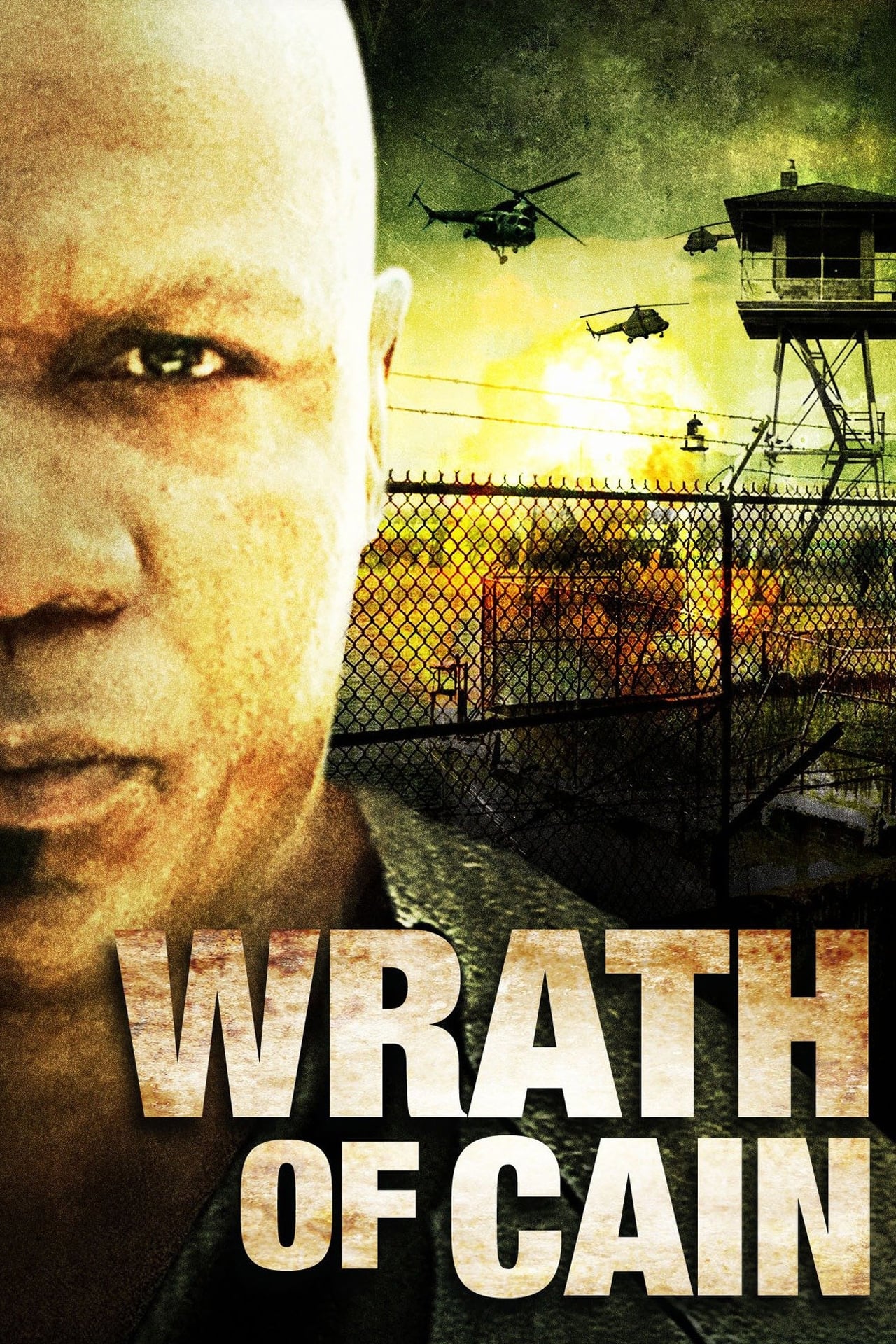 Movie The Wrath of Cain