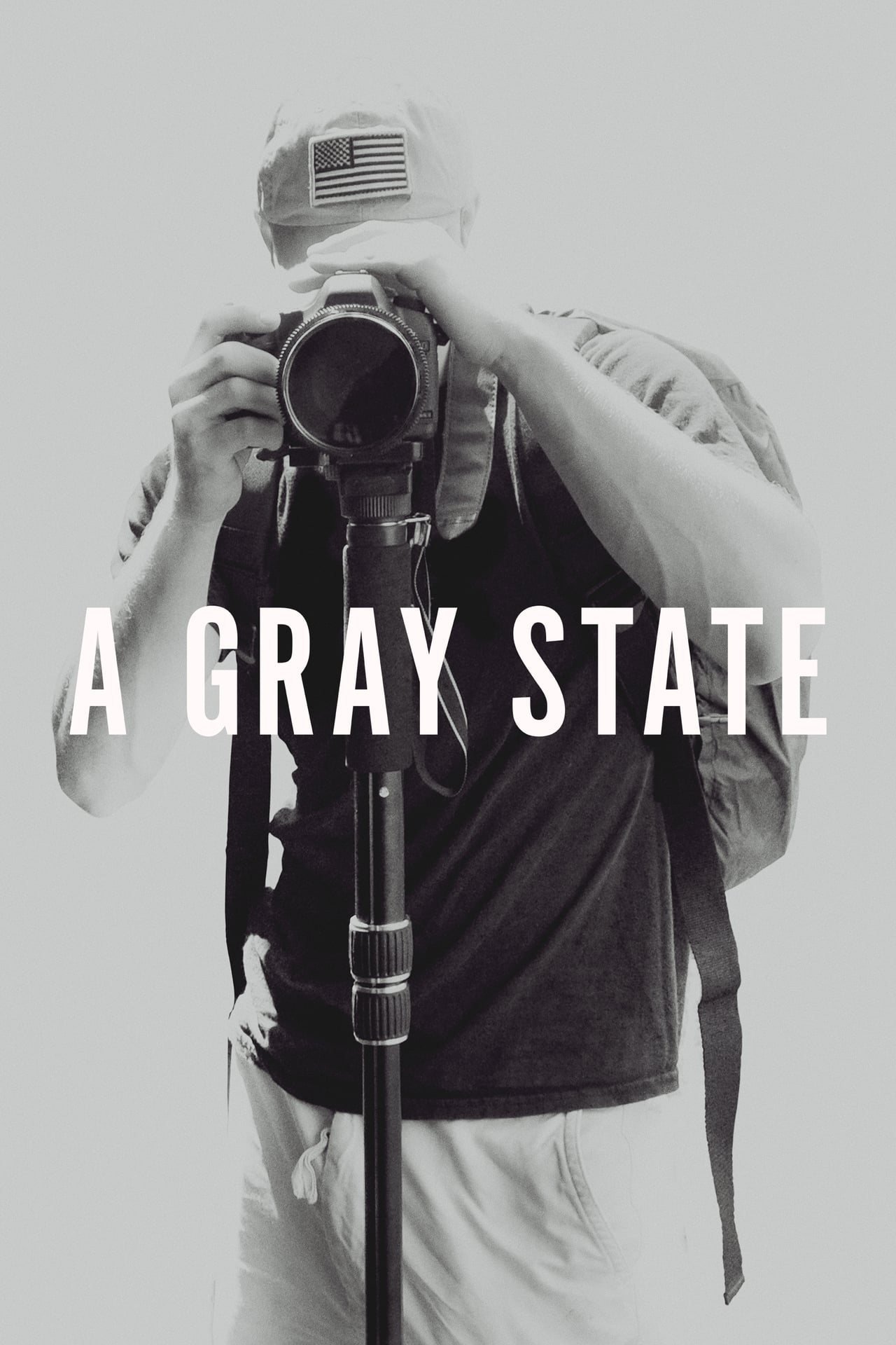 Película A Gray State