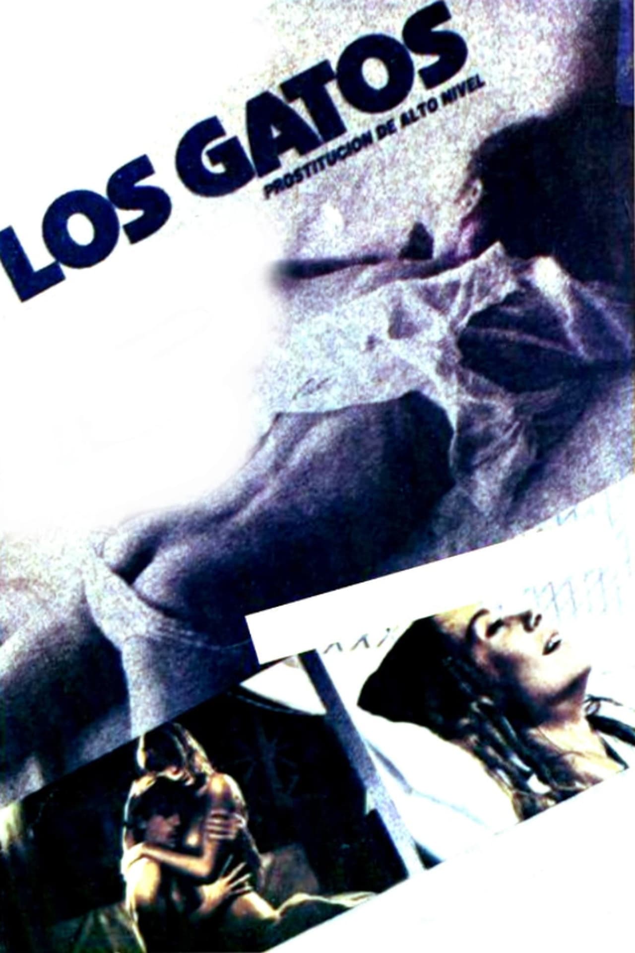Movie Los gatos (Prostitución de alto nivel)