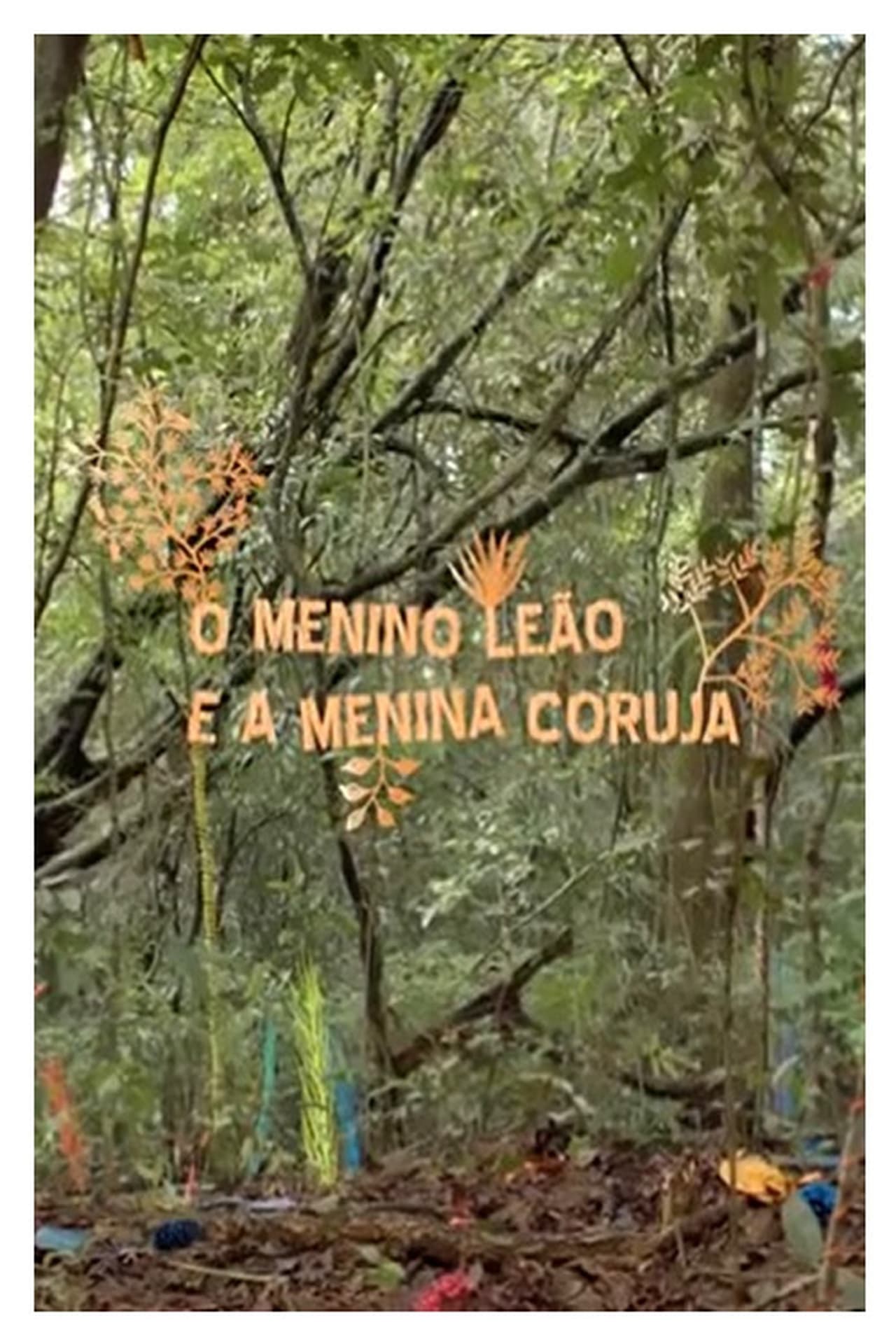 Película O Menino Leão e a Menina Coruja