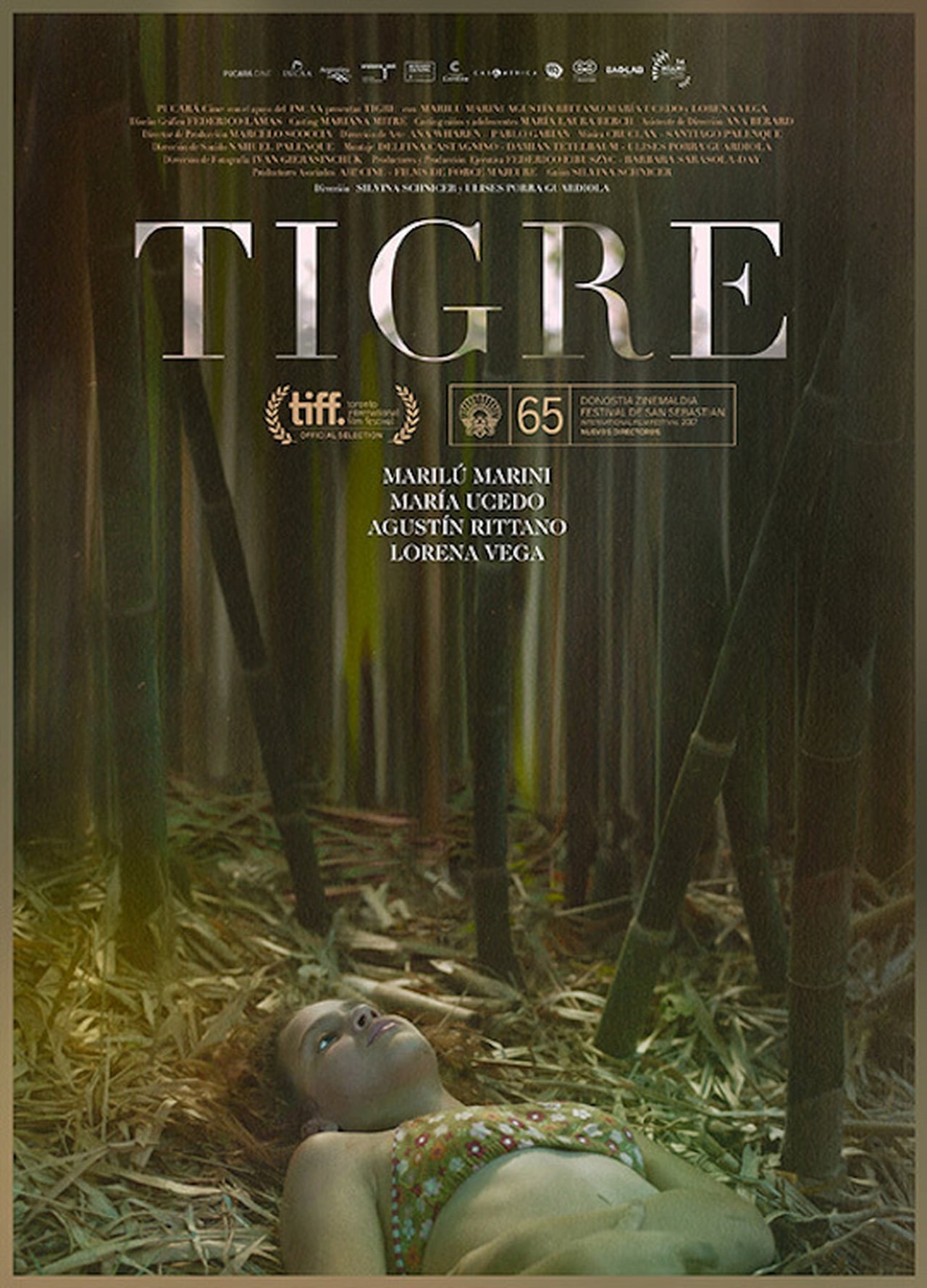 Película Tigre