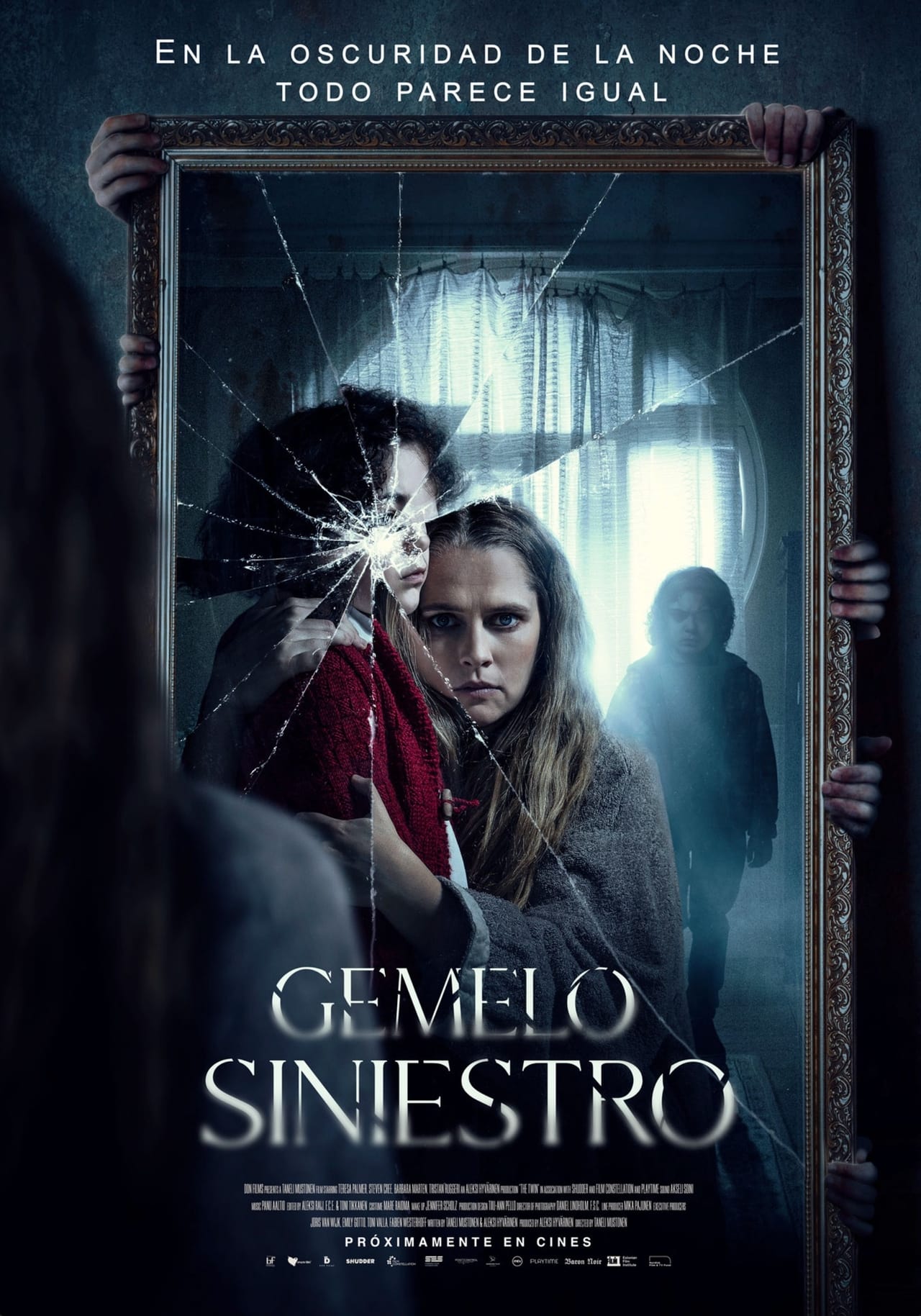 Película Gemelo siniestro