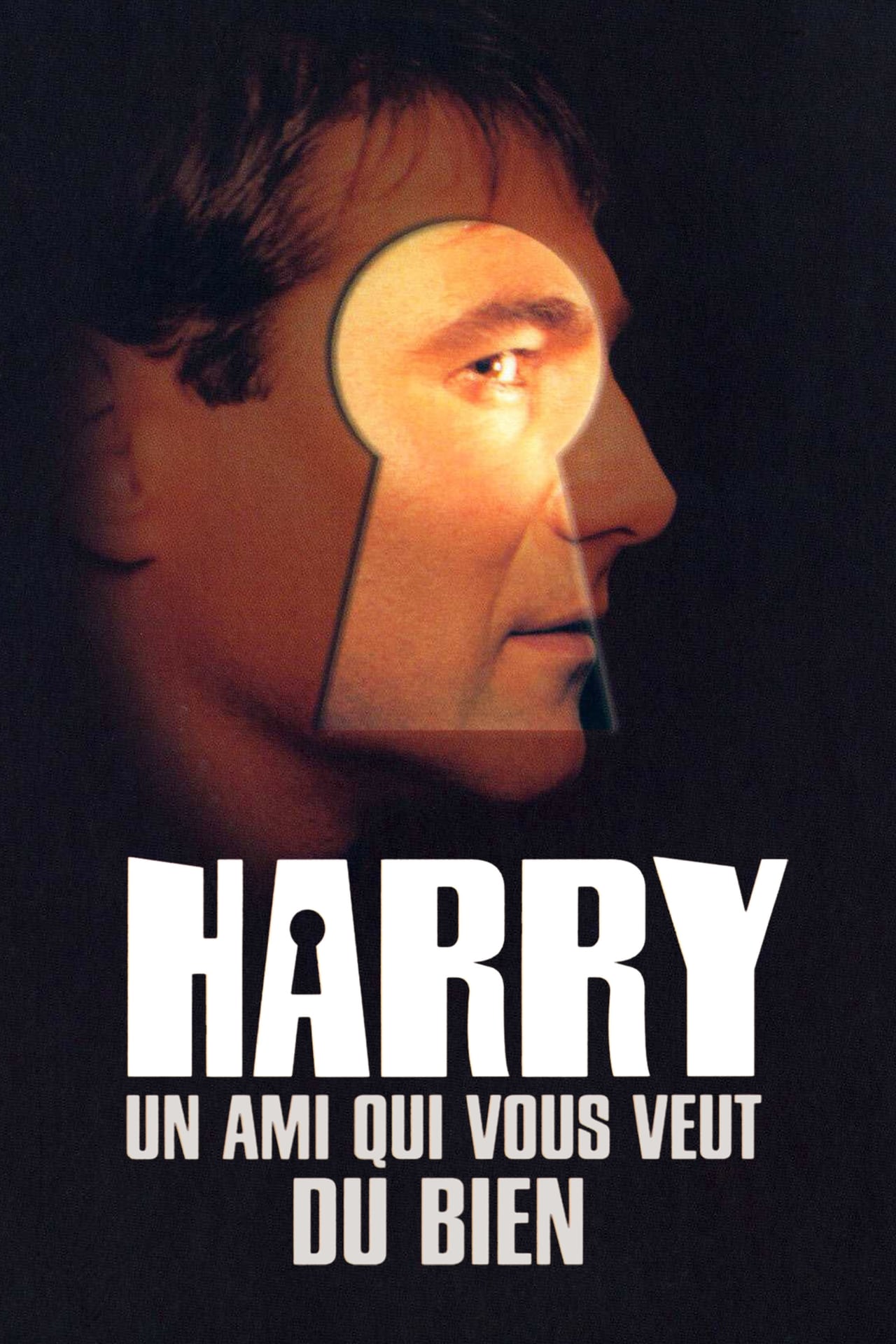 Películas Harry, un amigo que os quiere