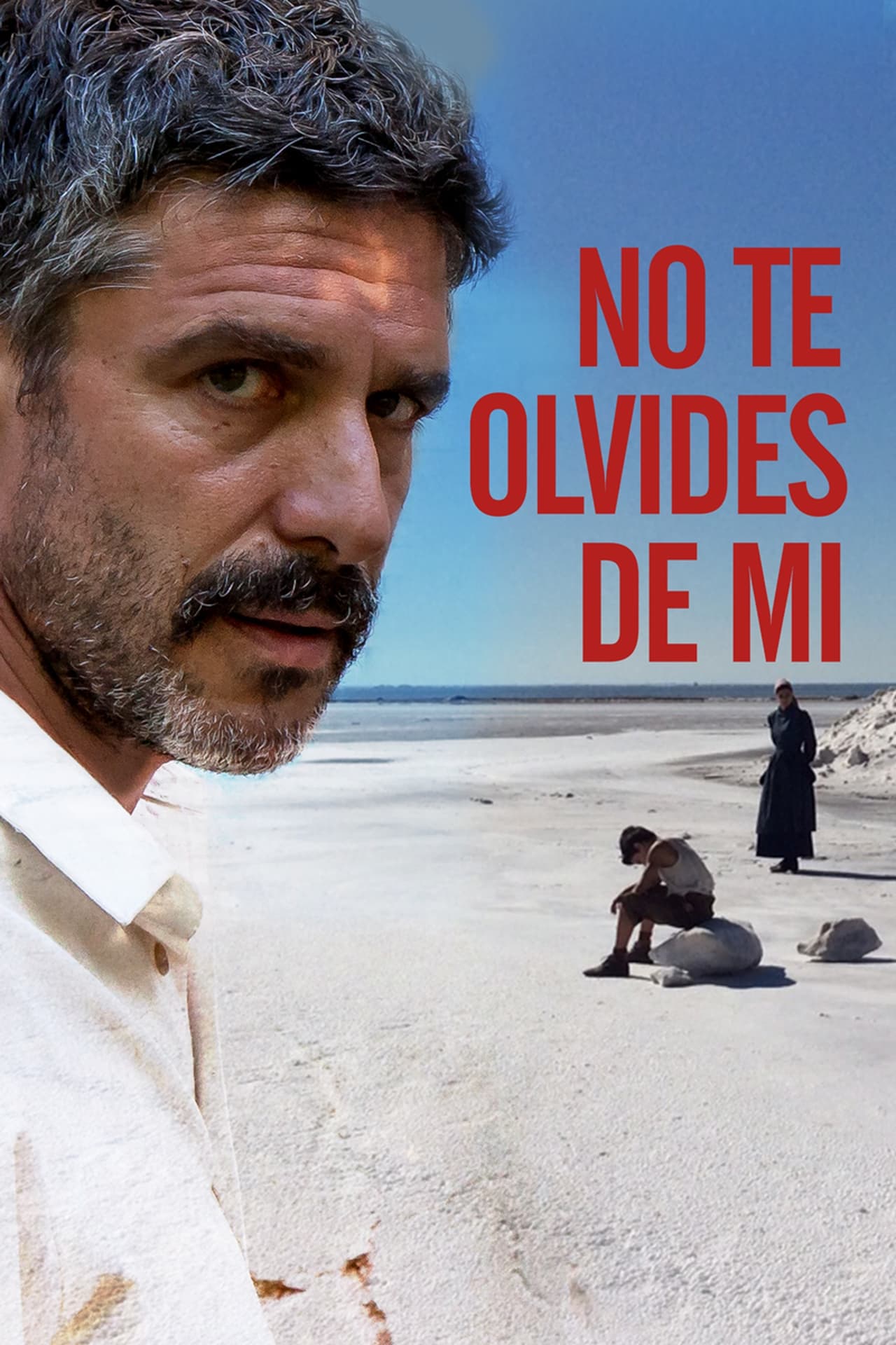 Película No te olvides de mí
