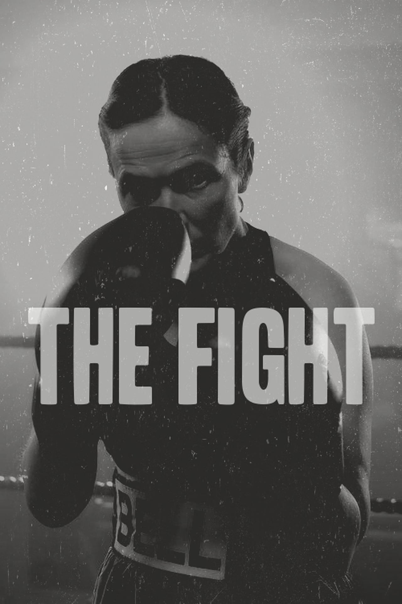 Movie The Fight