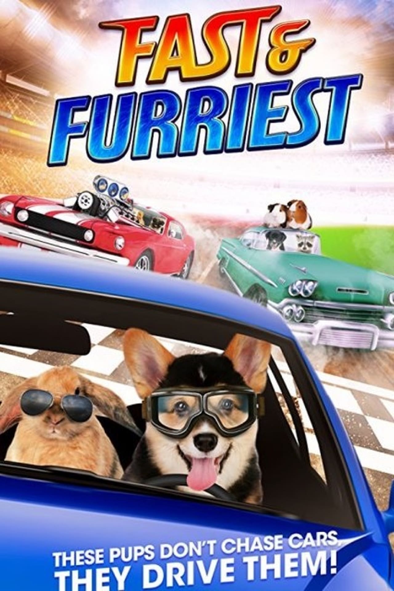 Movie Fast and Furriest