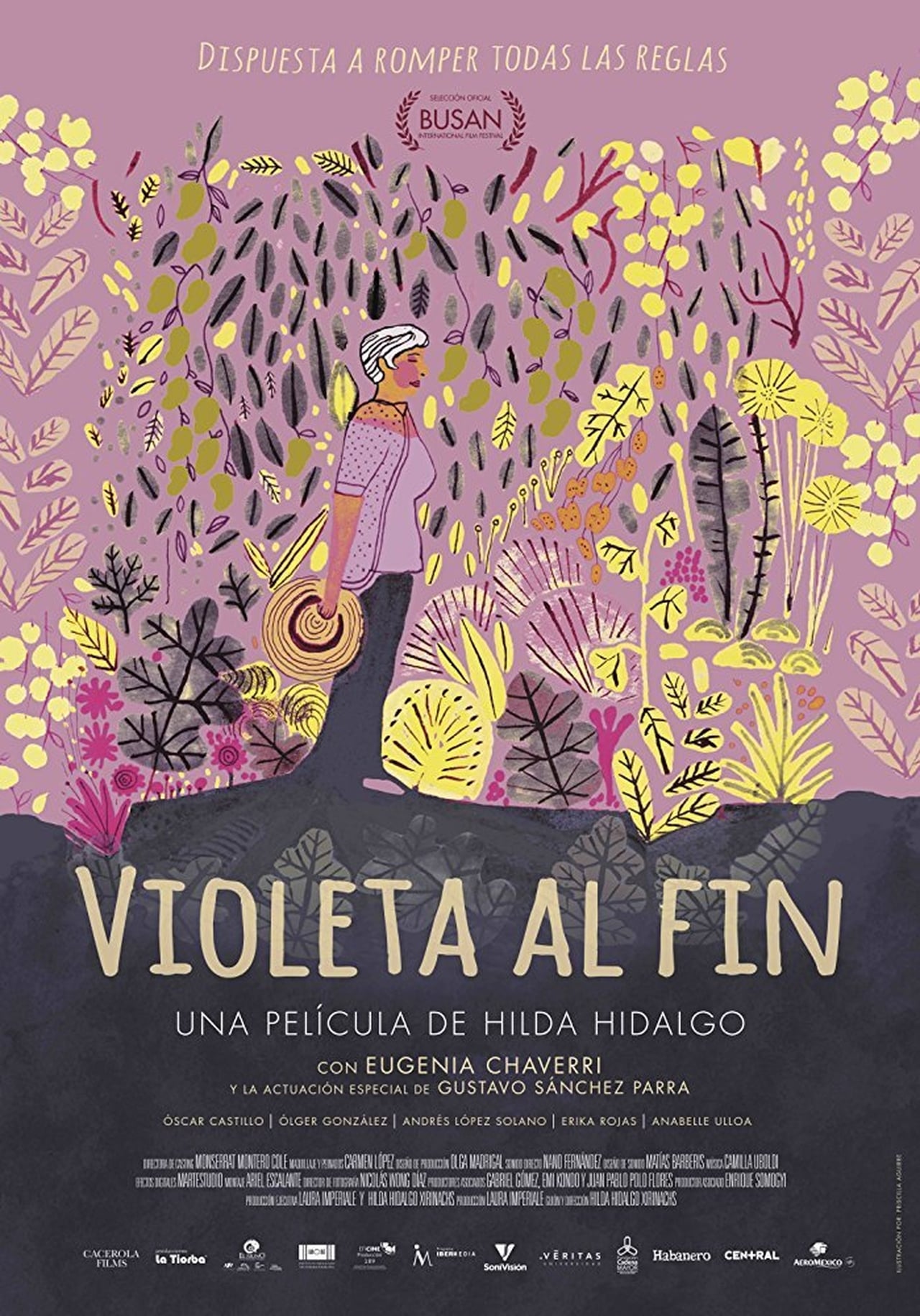 Película Violeta al fin