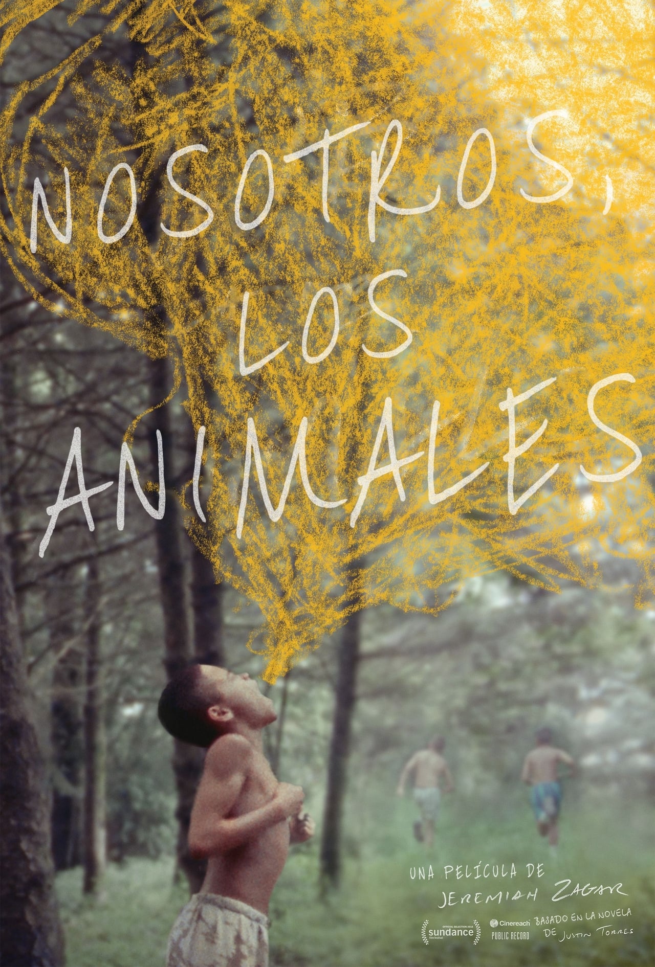 Movie We the Animals