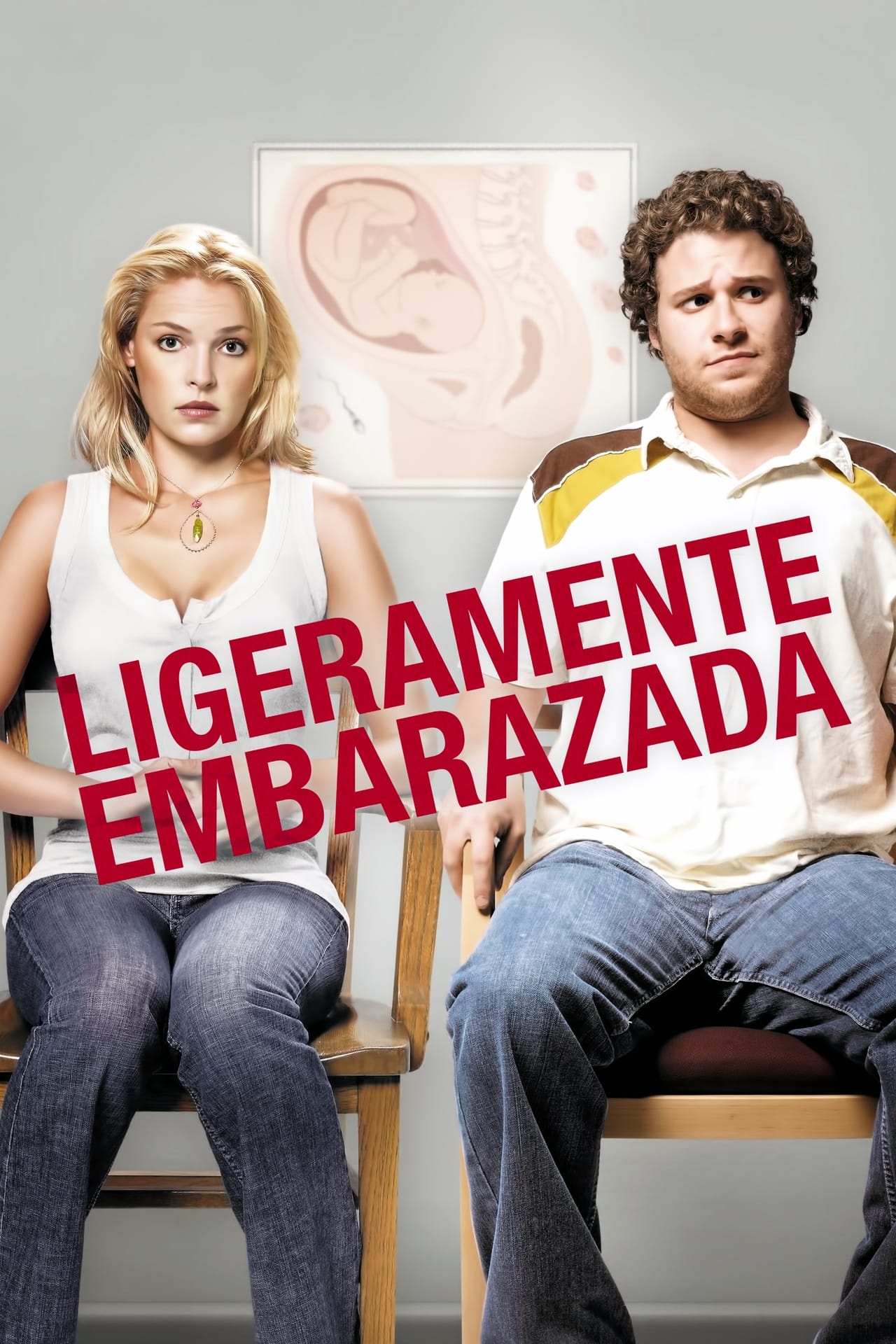 Movie Lío embarazoso