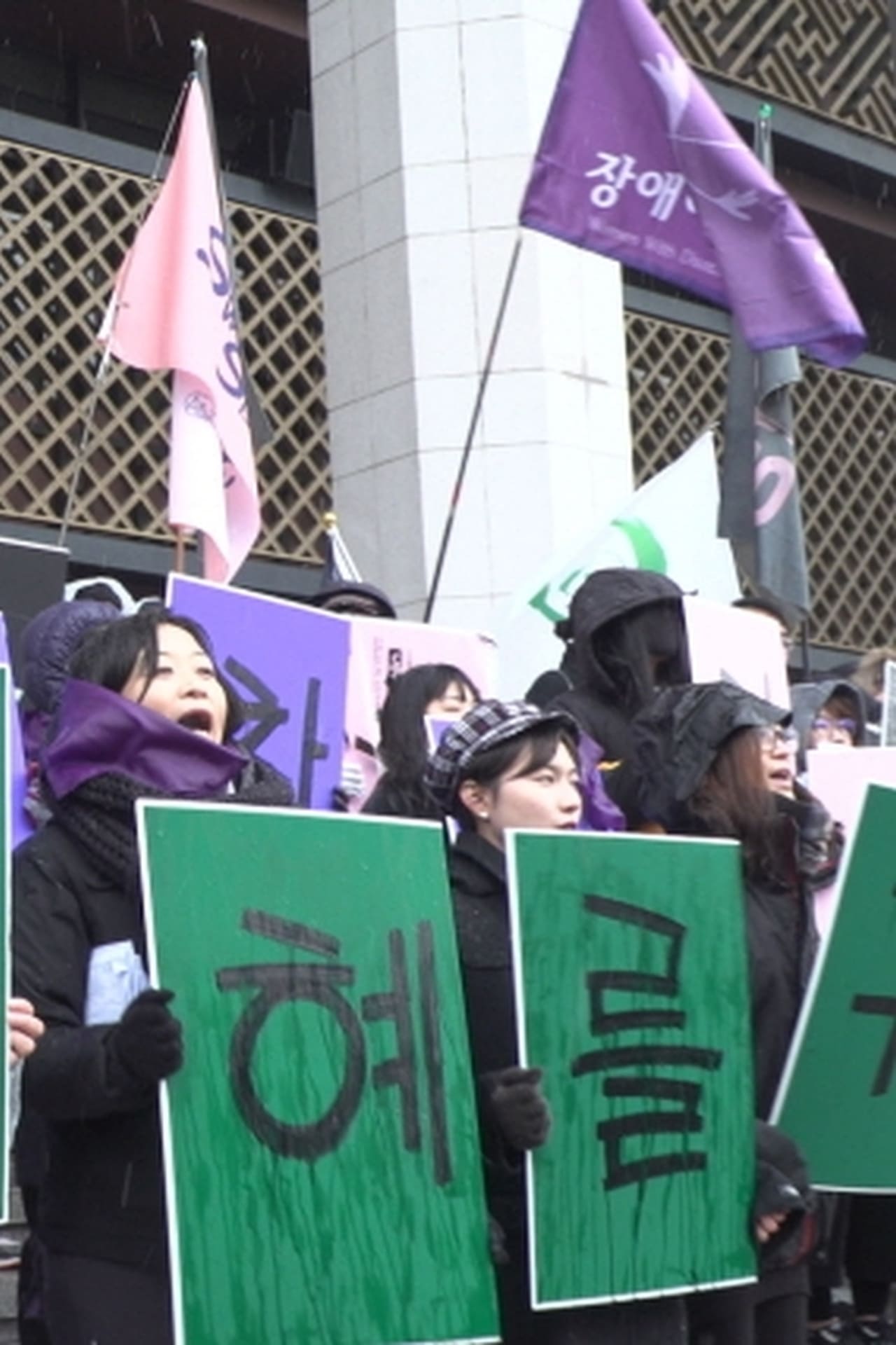 Película 시국페미