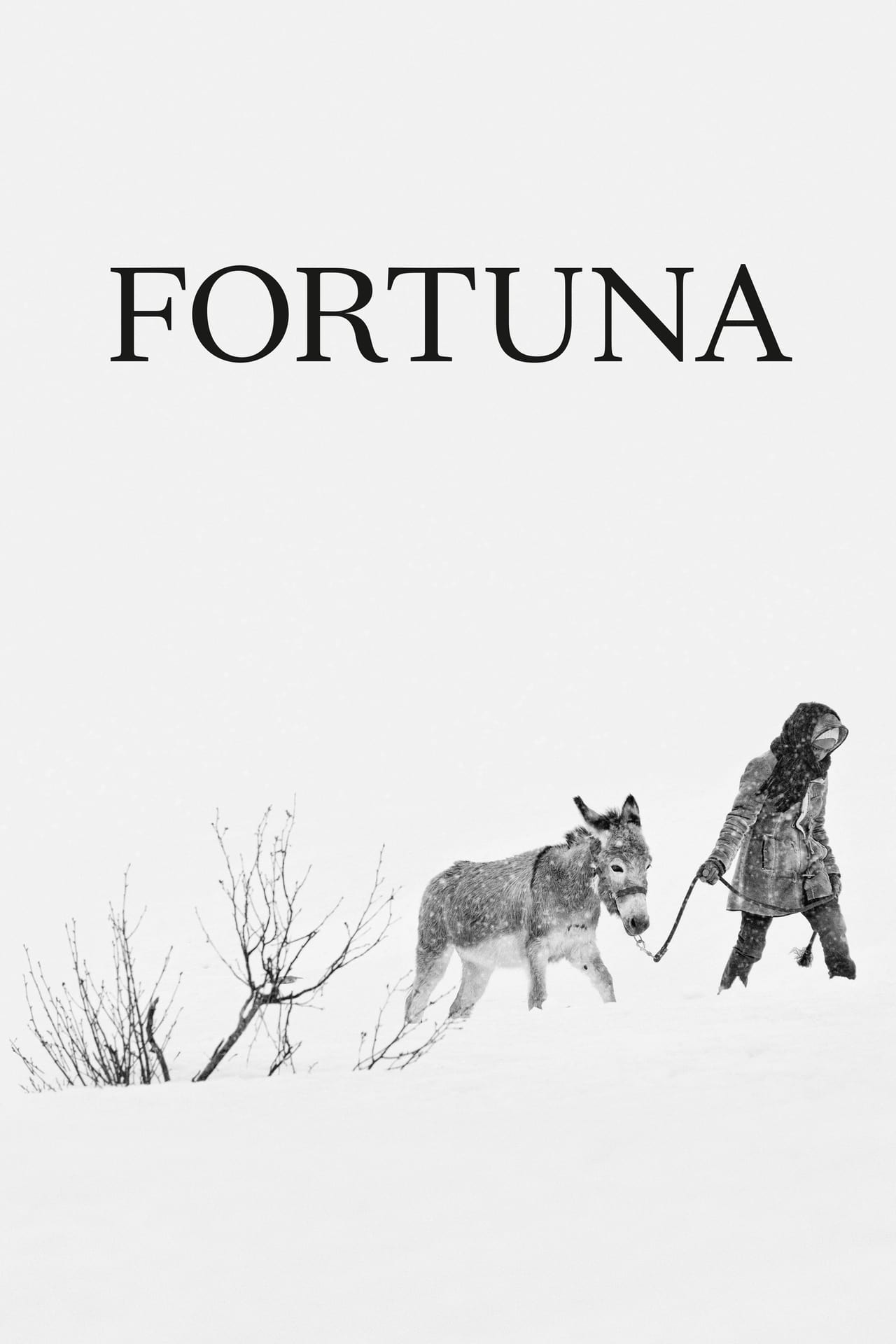 Movies Fortuna