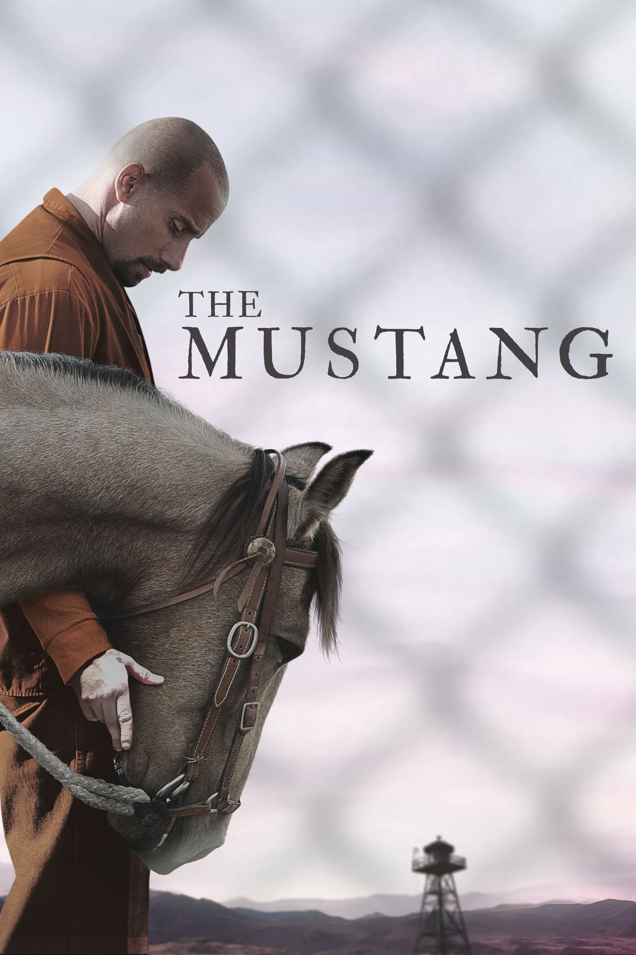 Movie The Mustang