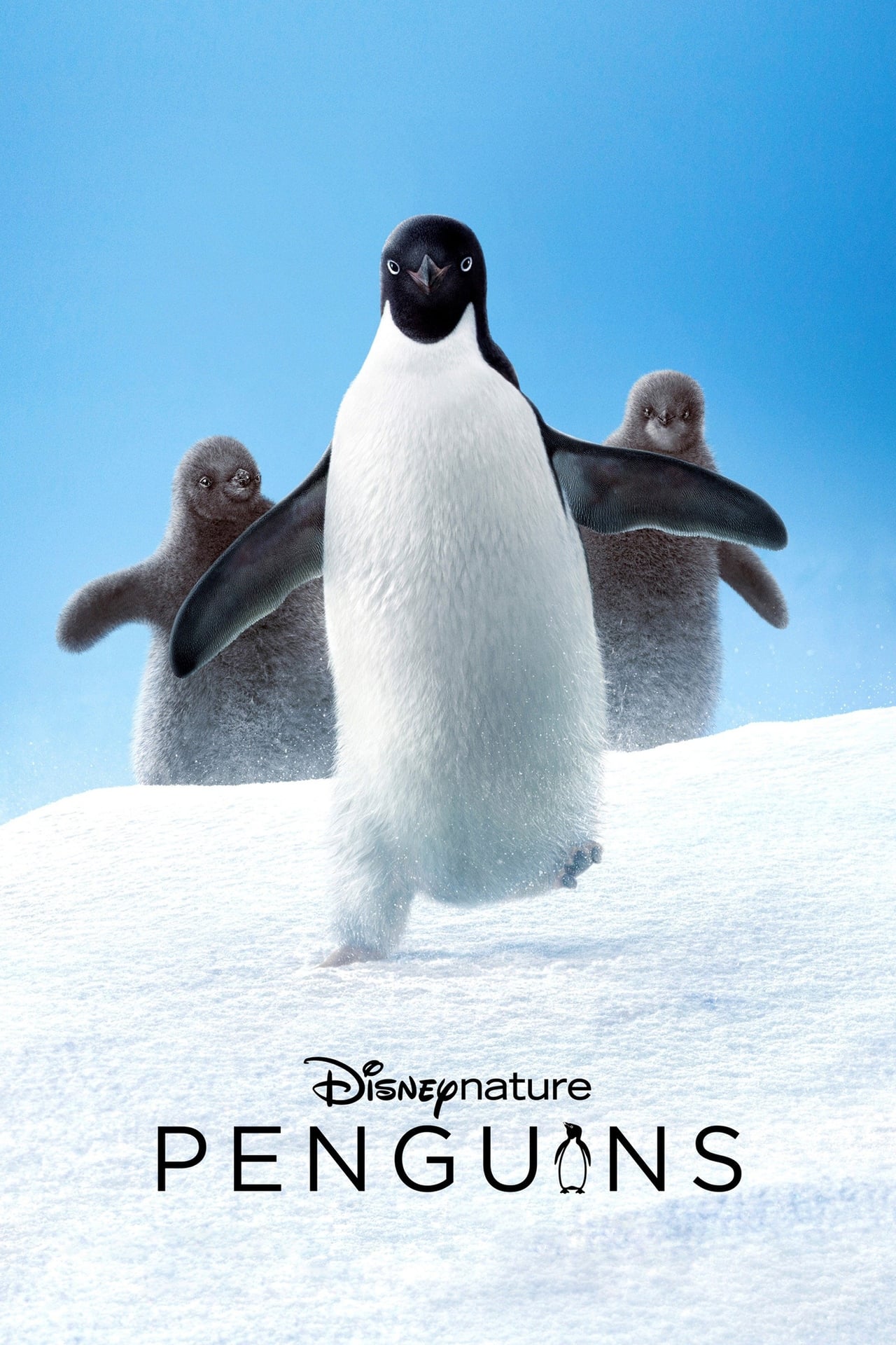 Movie Los pingüinos