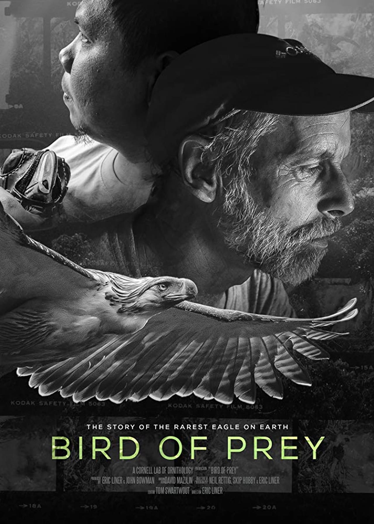 Película Bird of Prey