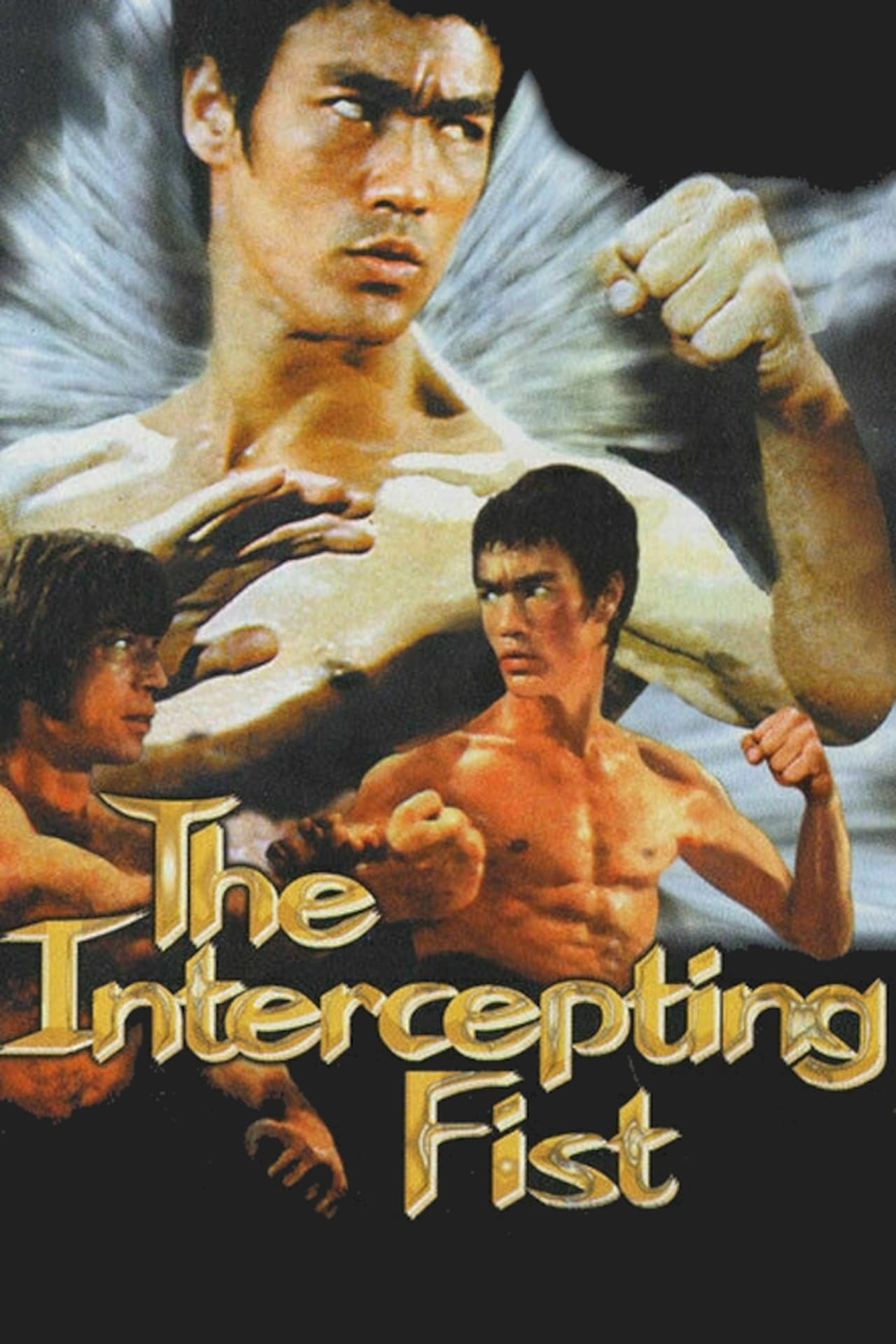 Películas Bruce Lee: The Intercepting Fist