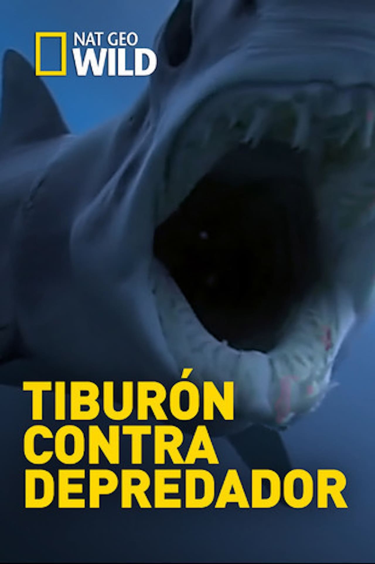 Movie Tiburon contra depredador