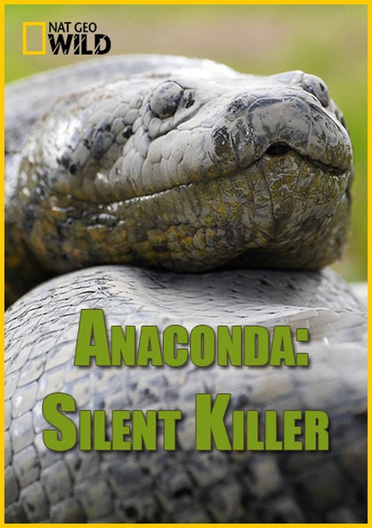 Movies Anaconda: Asesino sigiloso